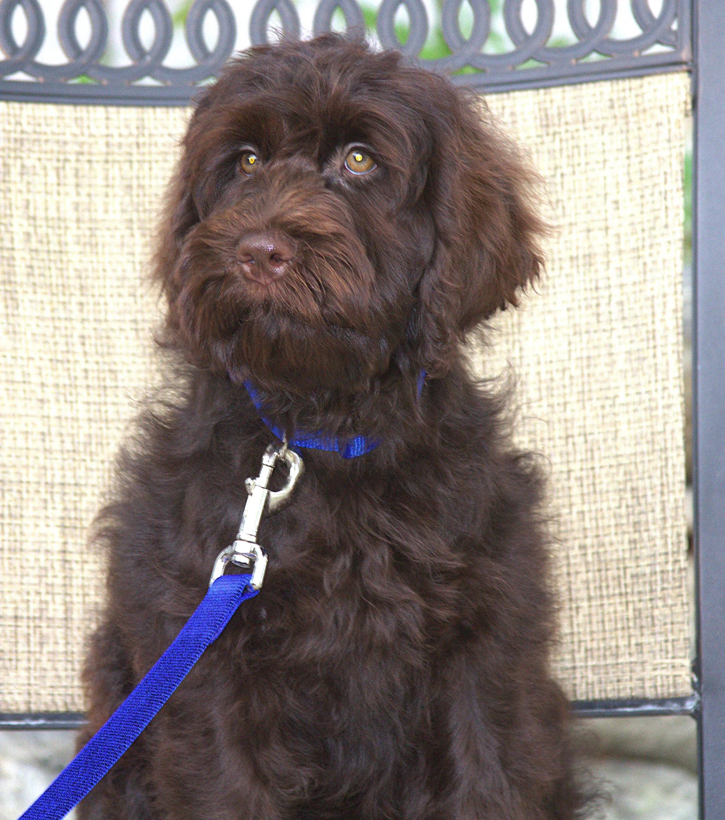 IMG_0240 - Copy Thor sit 5.jpg