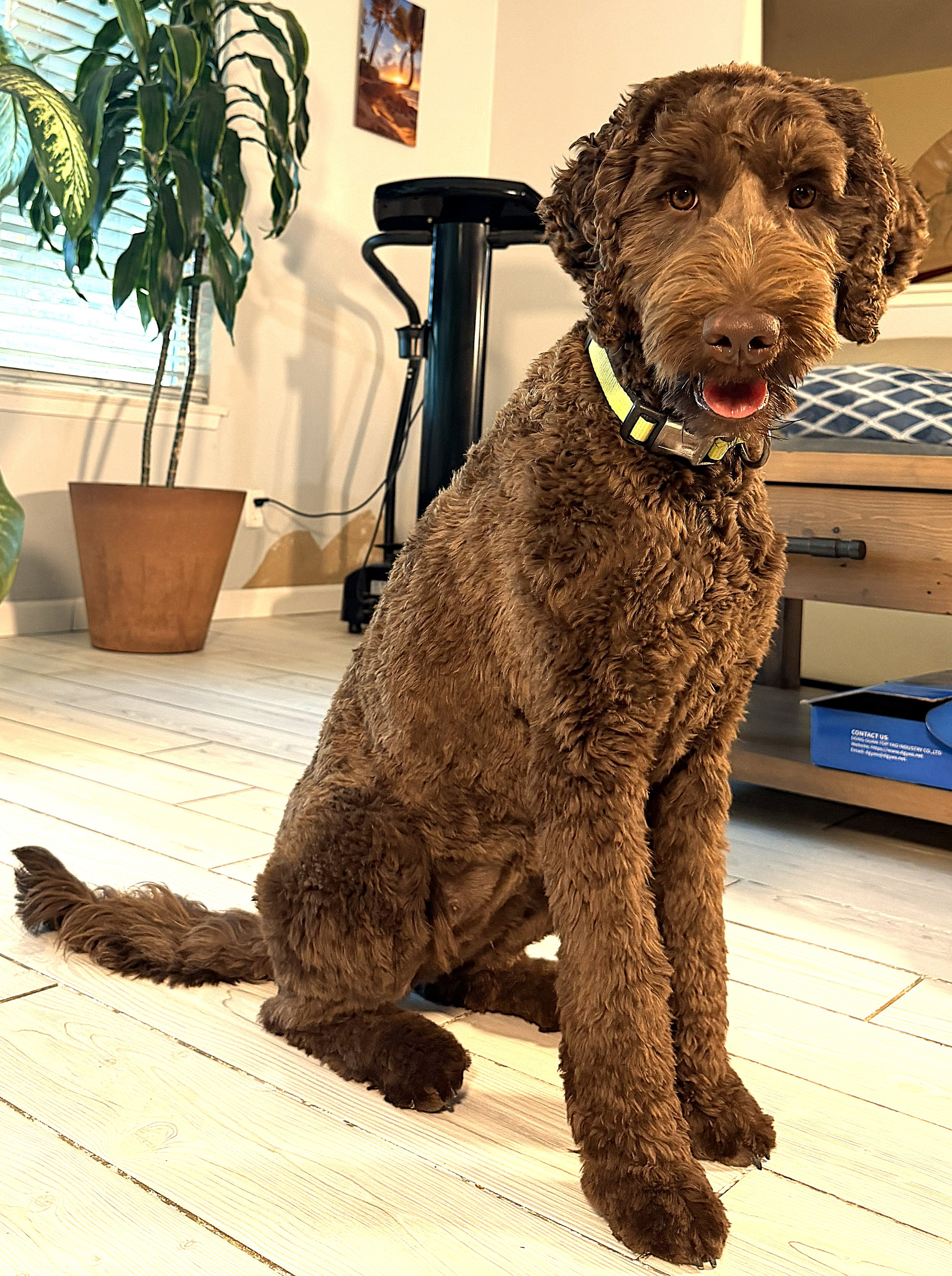 IMG_0717  Athena sit 5A.jpg