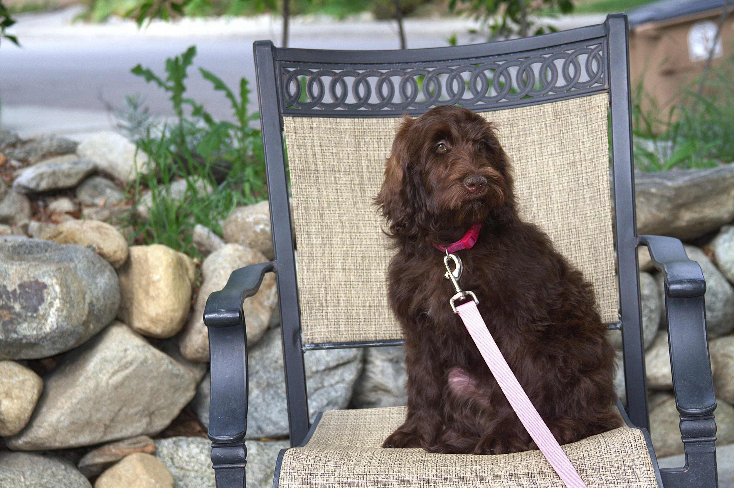 IMG_0175 - Copy  Demi Moore 2 sit.jpg