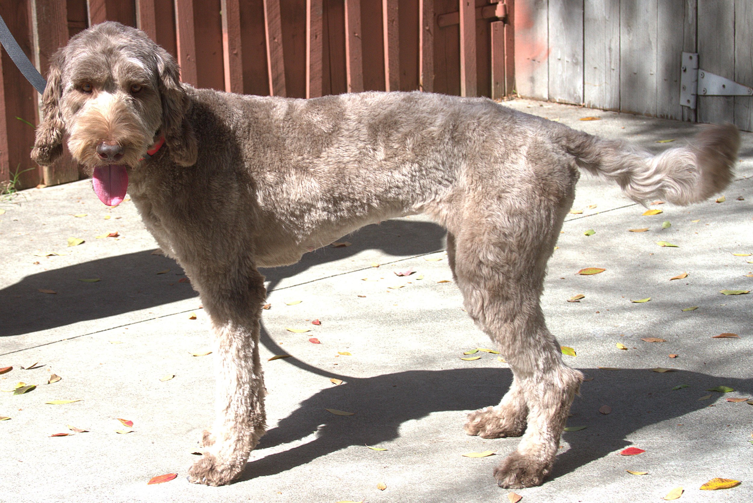 IMG_9980  Emma Stand 5 - Copy.jpg