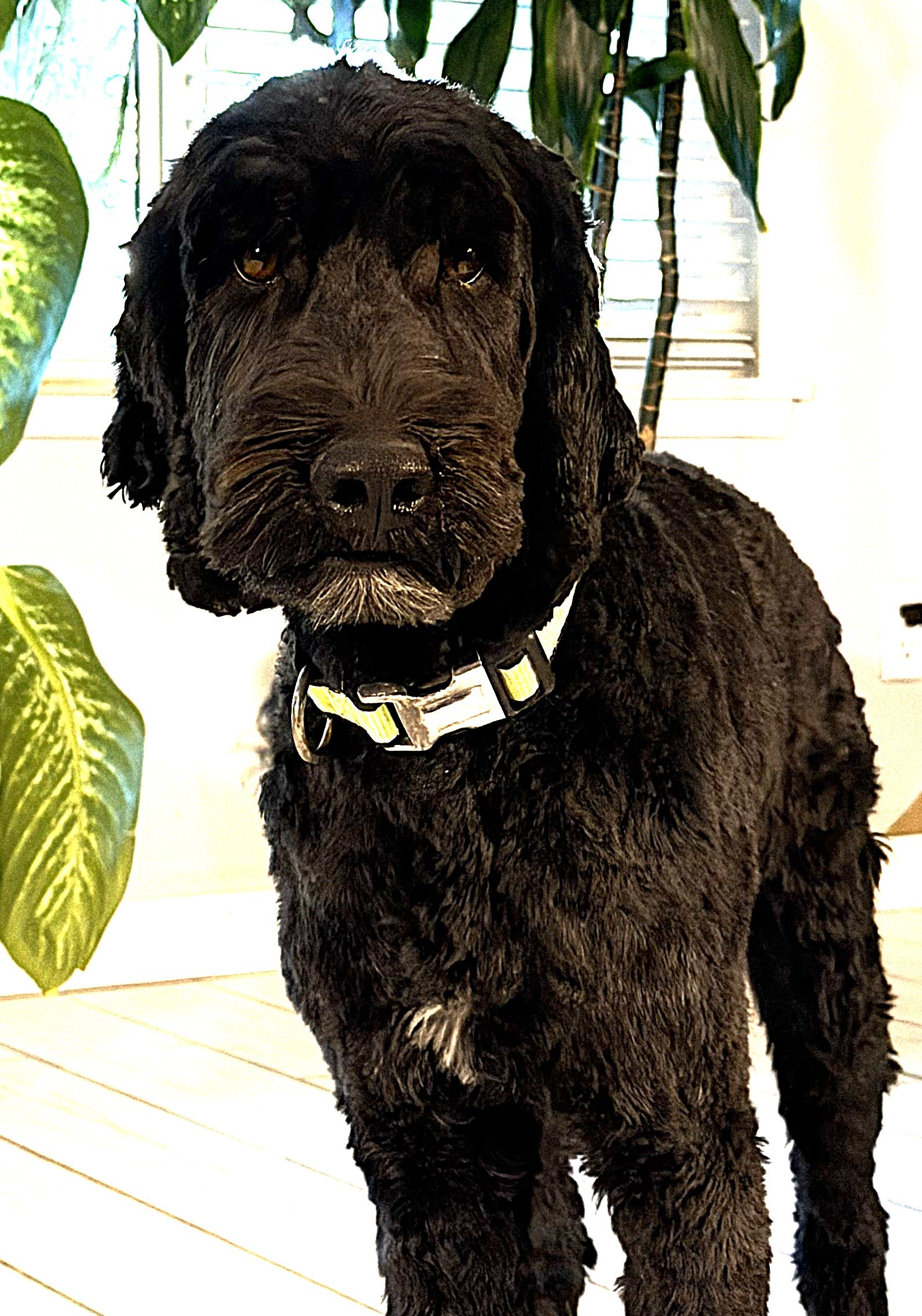 IMG_0777  lLilo stand 7A.jpg