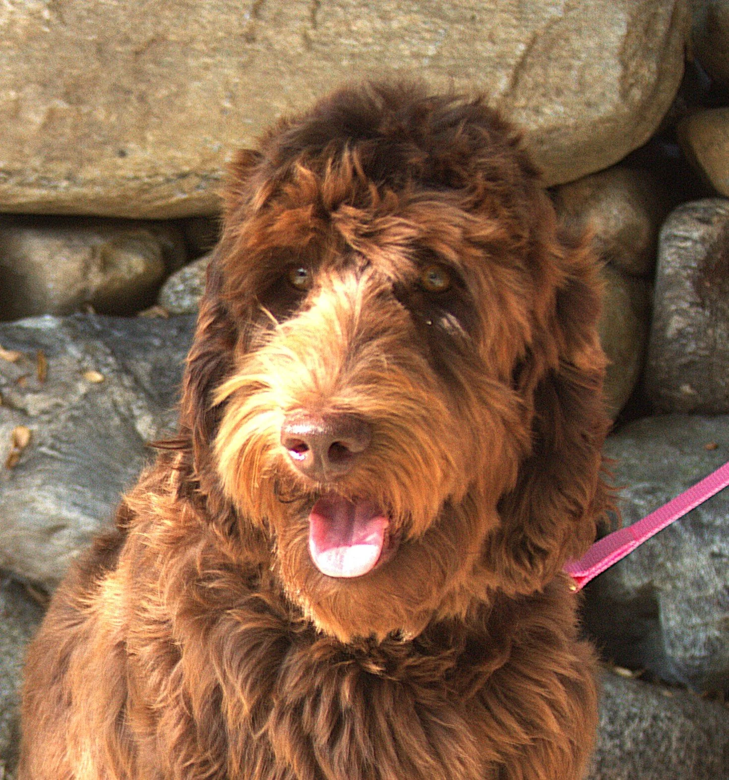 IMG_9053  Athena HS.jpg