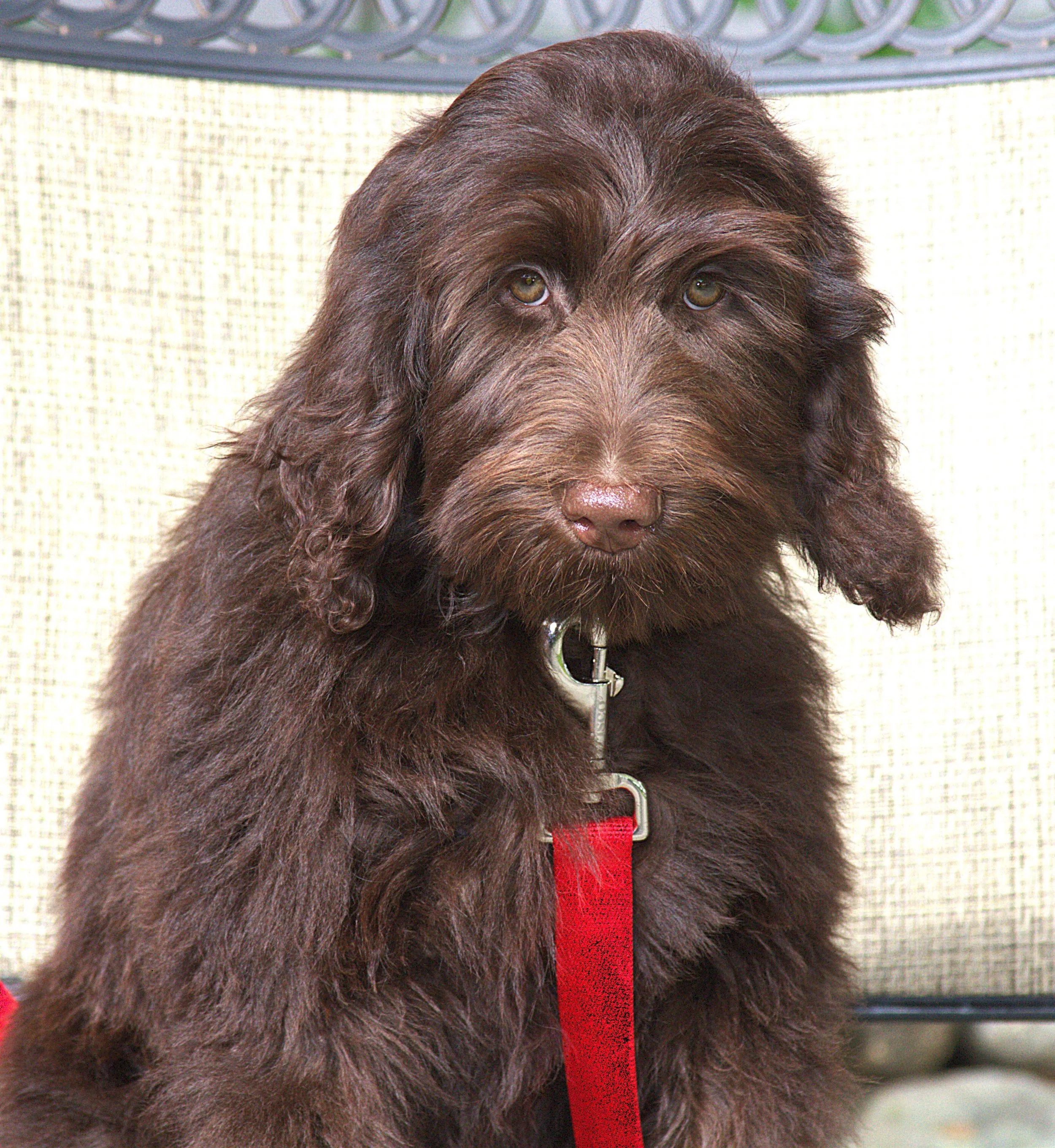 IMG_0146 Arrow sit 5.jpg