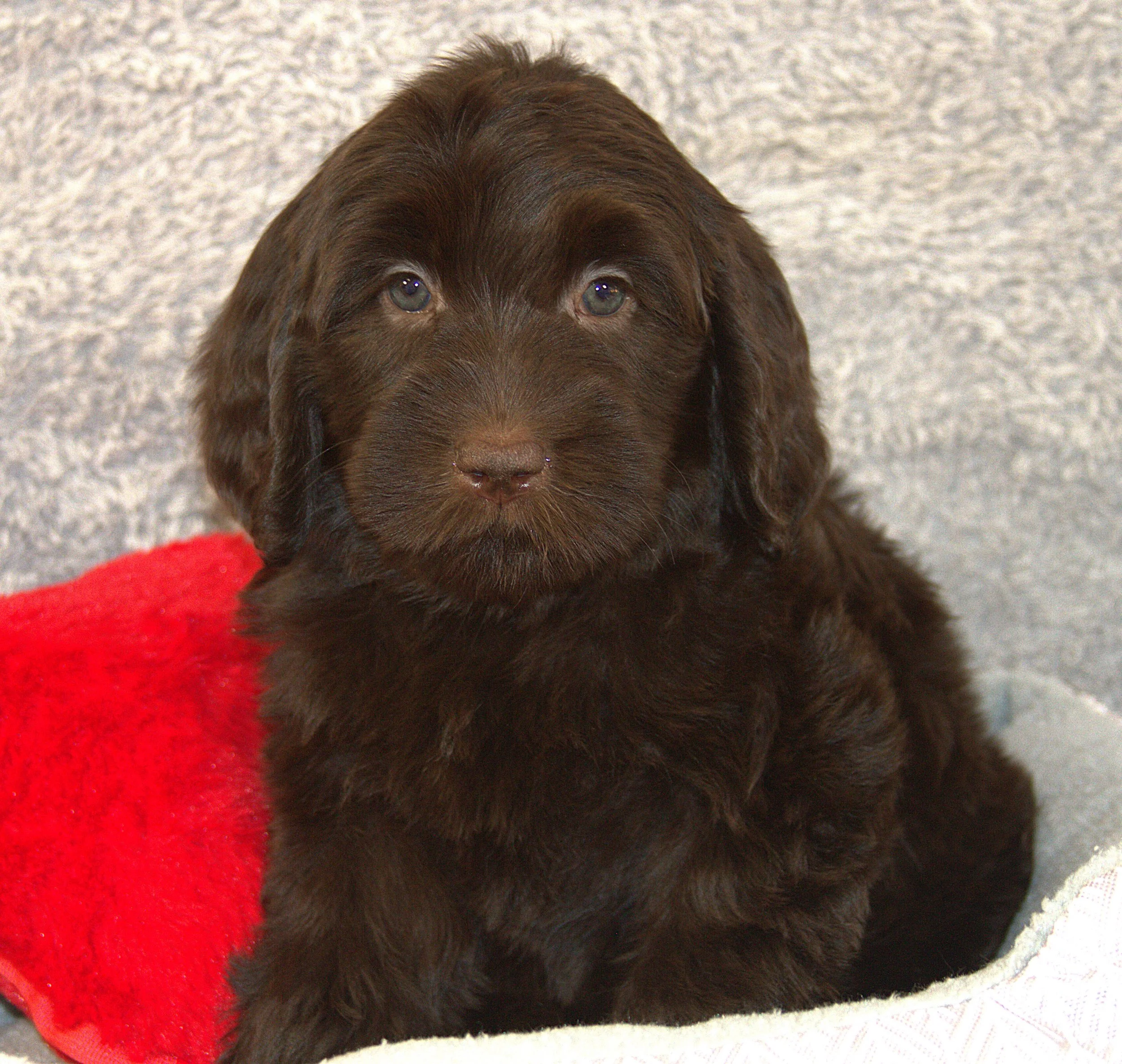 IMG_9830  Desiree sit 3.jpg