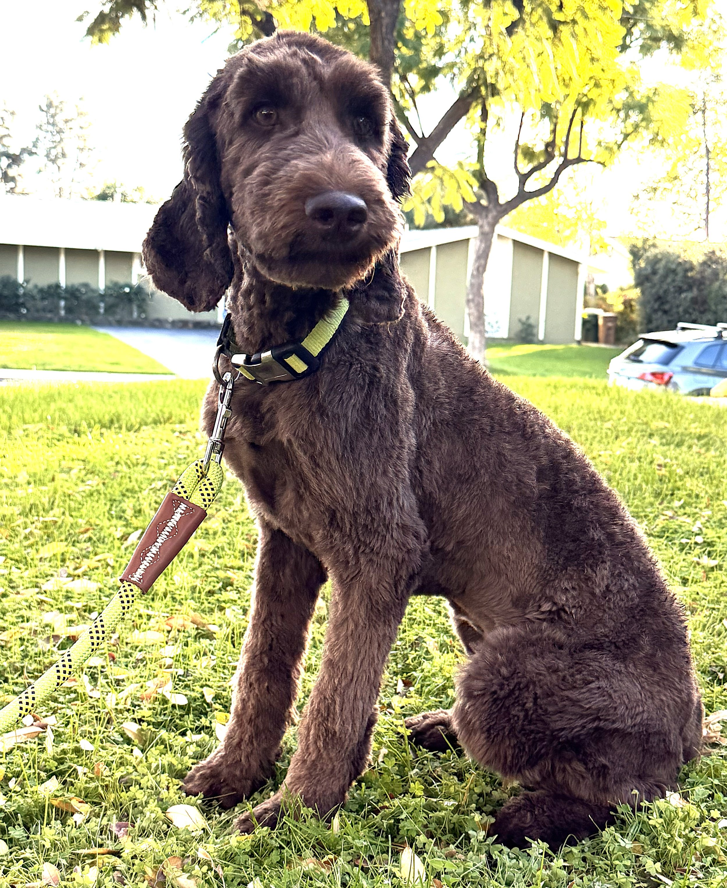 IMG_0737 - Athena sit OD 4.jpg