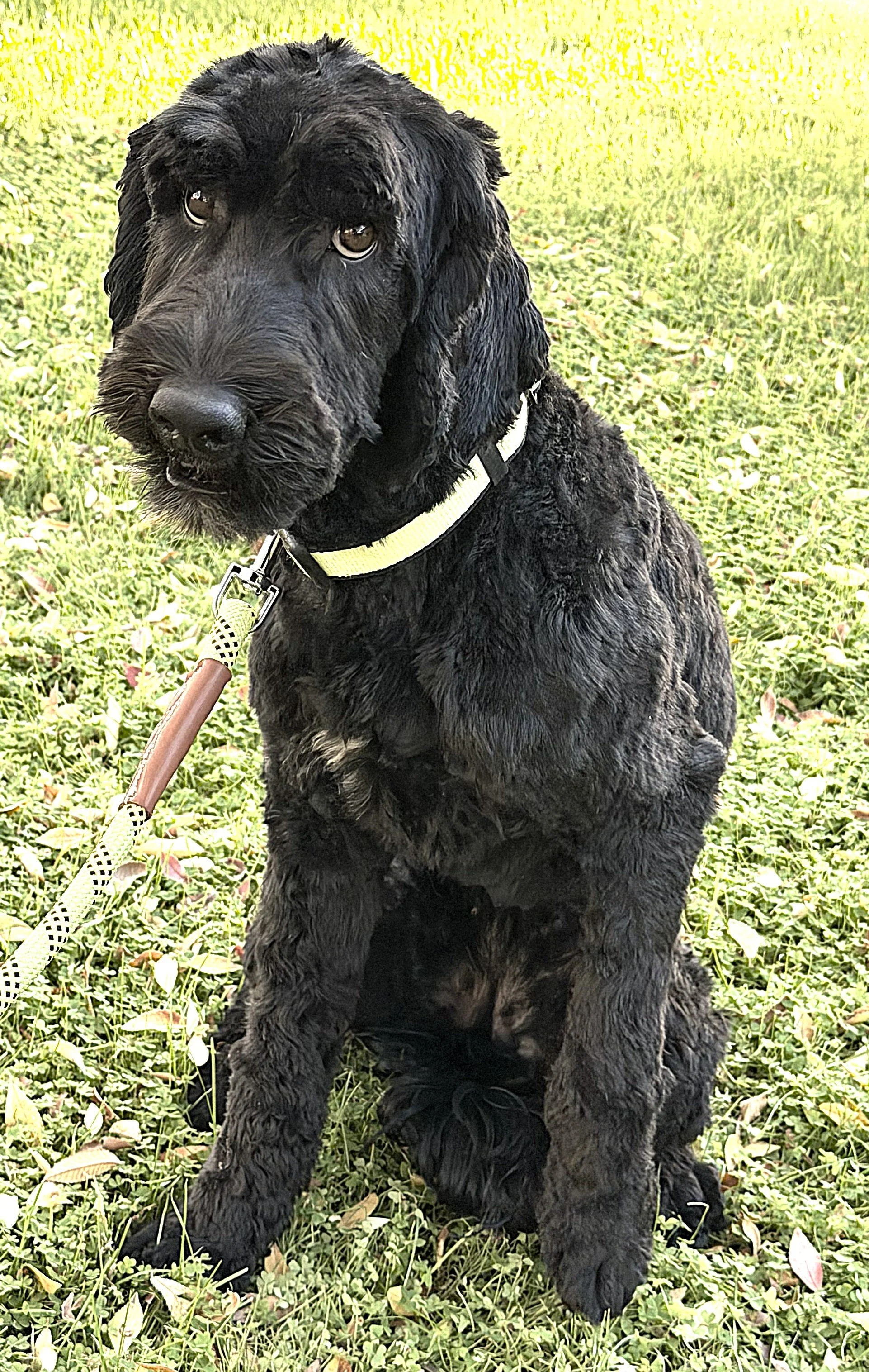 IMG_0753 lLilo sit 1A.jpg