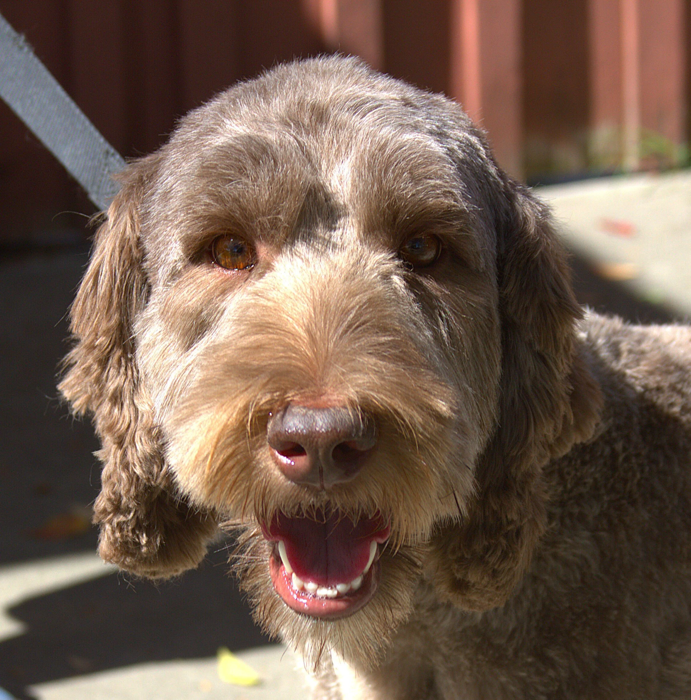 IMG_9963 Emma HS - Copy.jpg