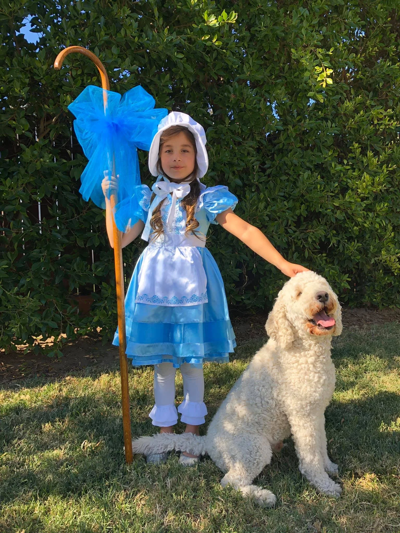 halloween labradoodle.jpeg