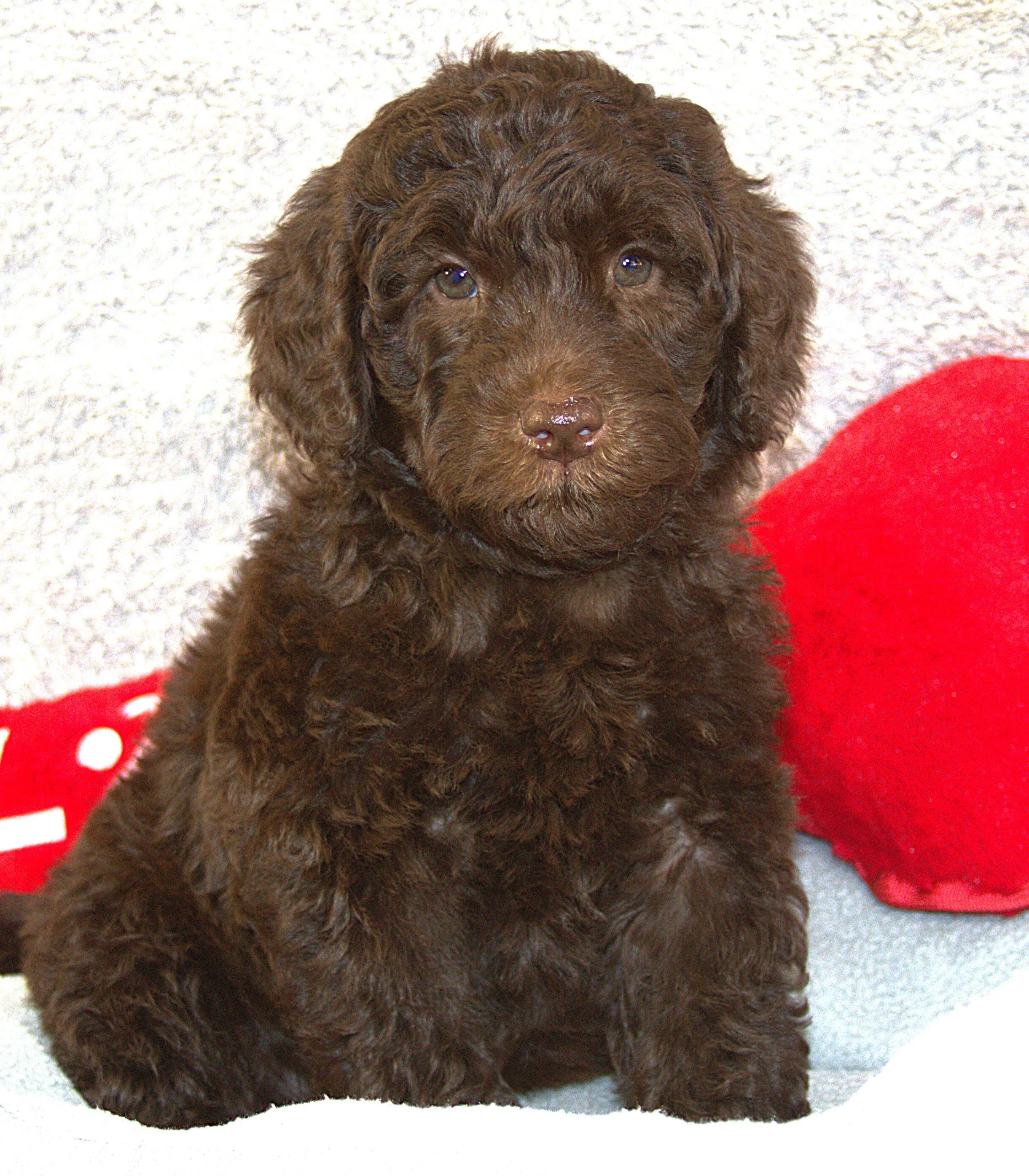 IMG_9680 Harty sit3.jpg