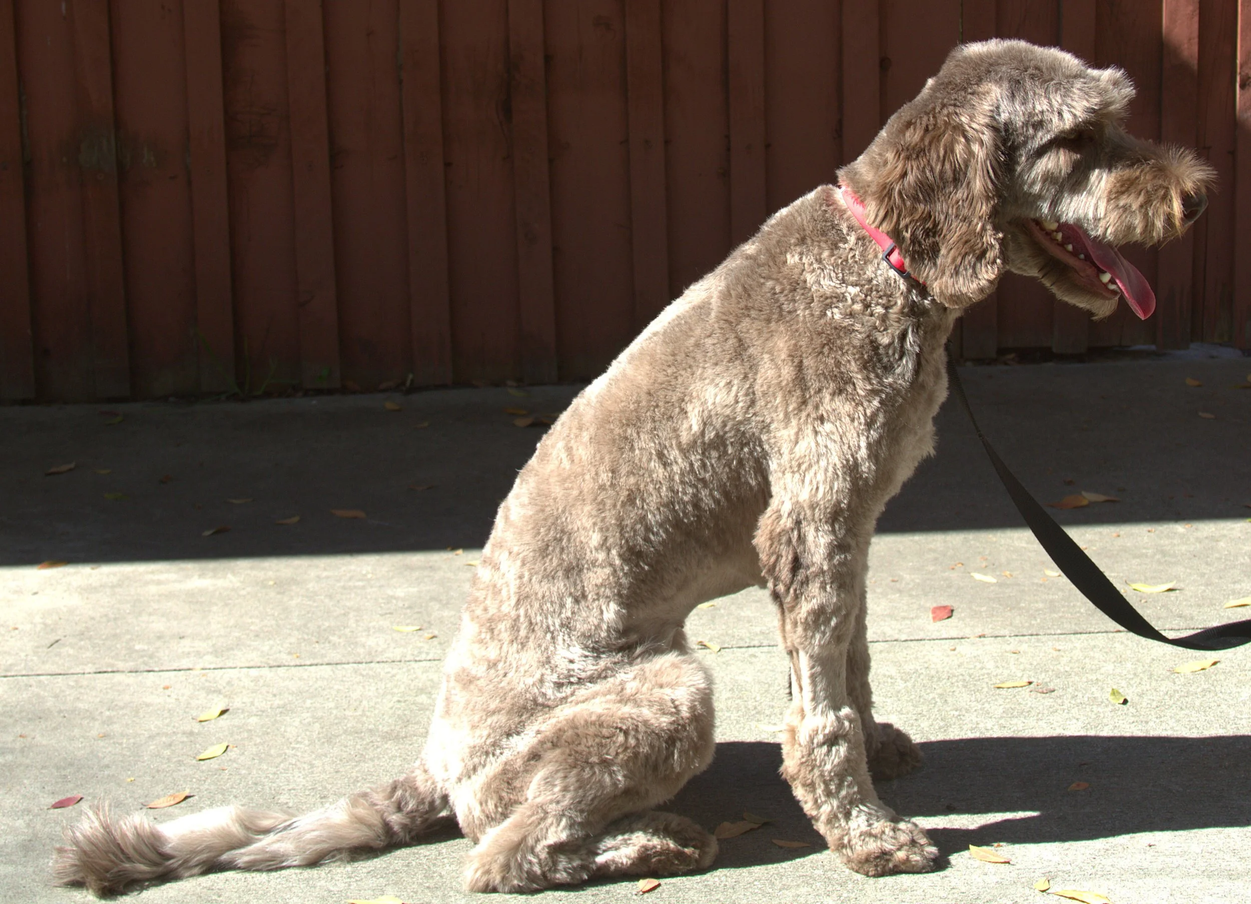 IMG_9972 Emma sit 3 - Copy.jpg