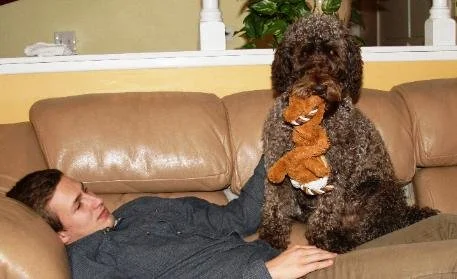 justinandduke.jpg