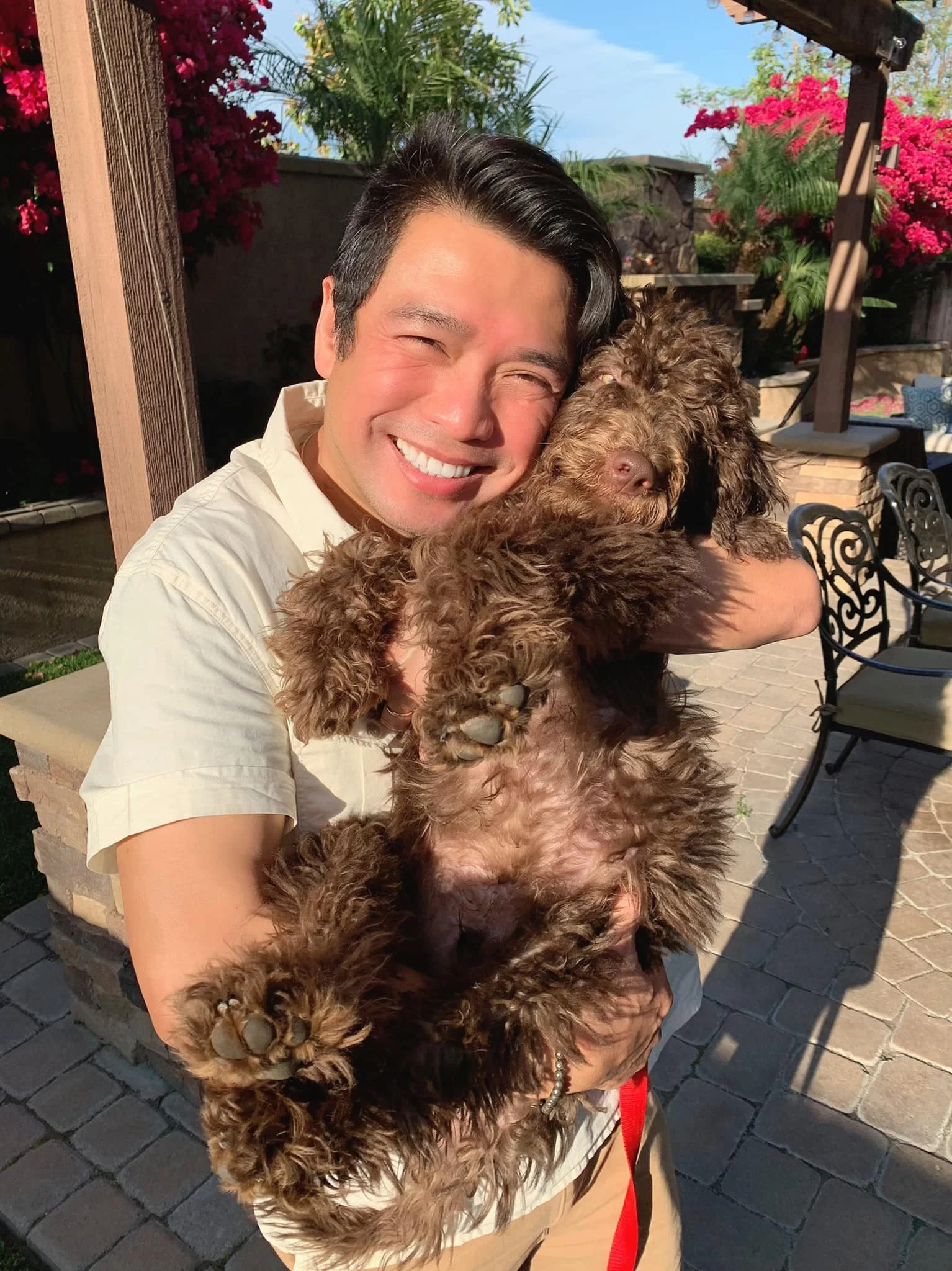 noodles labradoodle.jpeg