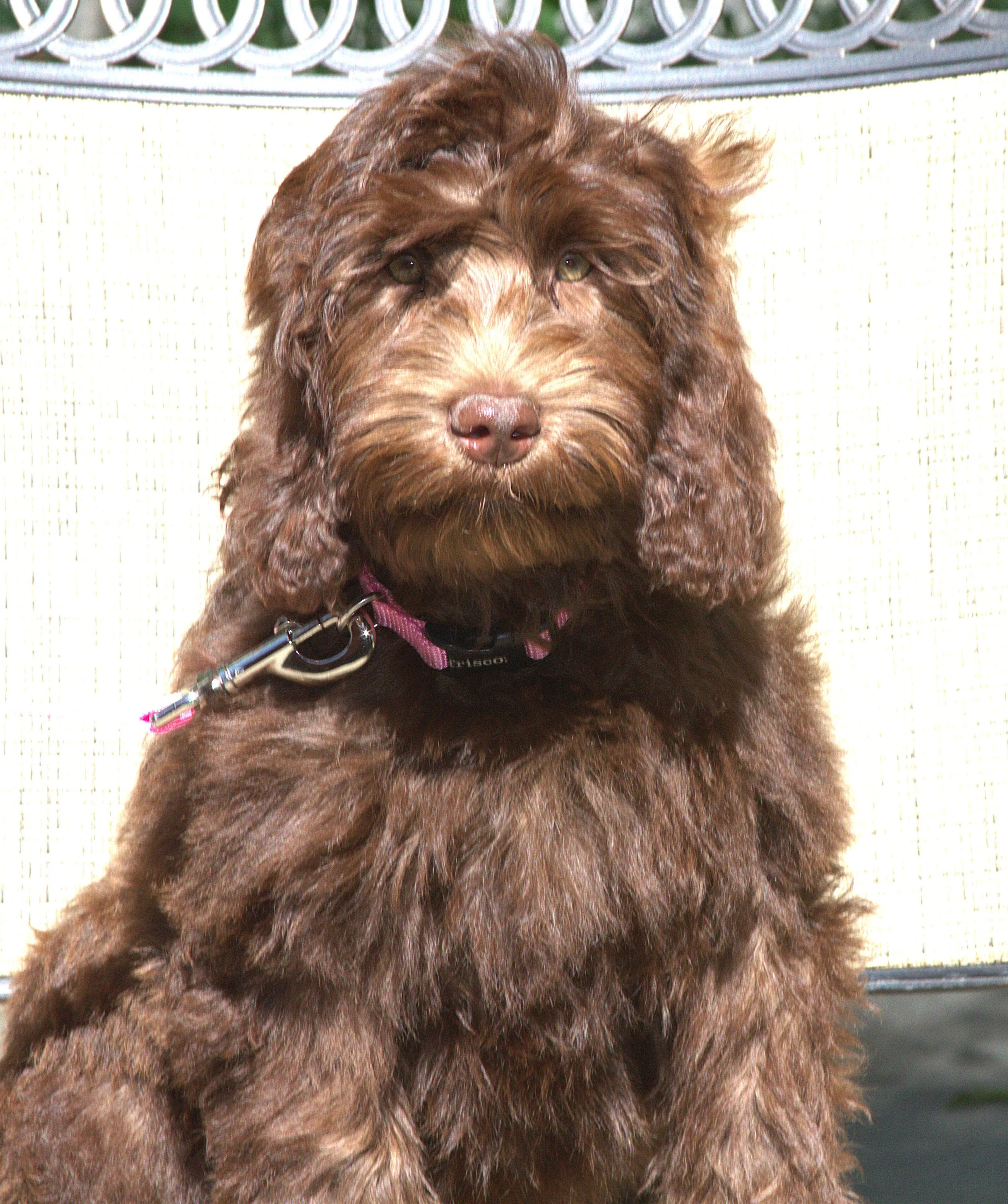 IMG_0096 - Angelina sit 1.jpg