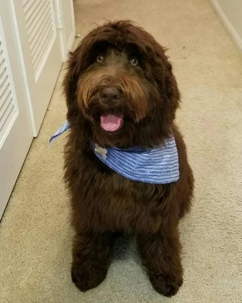 buster2.jpg