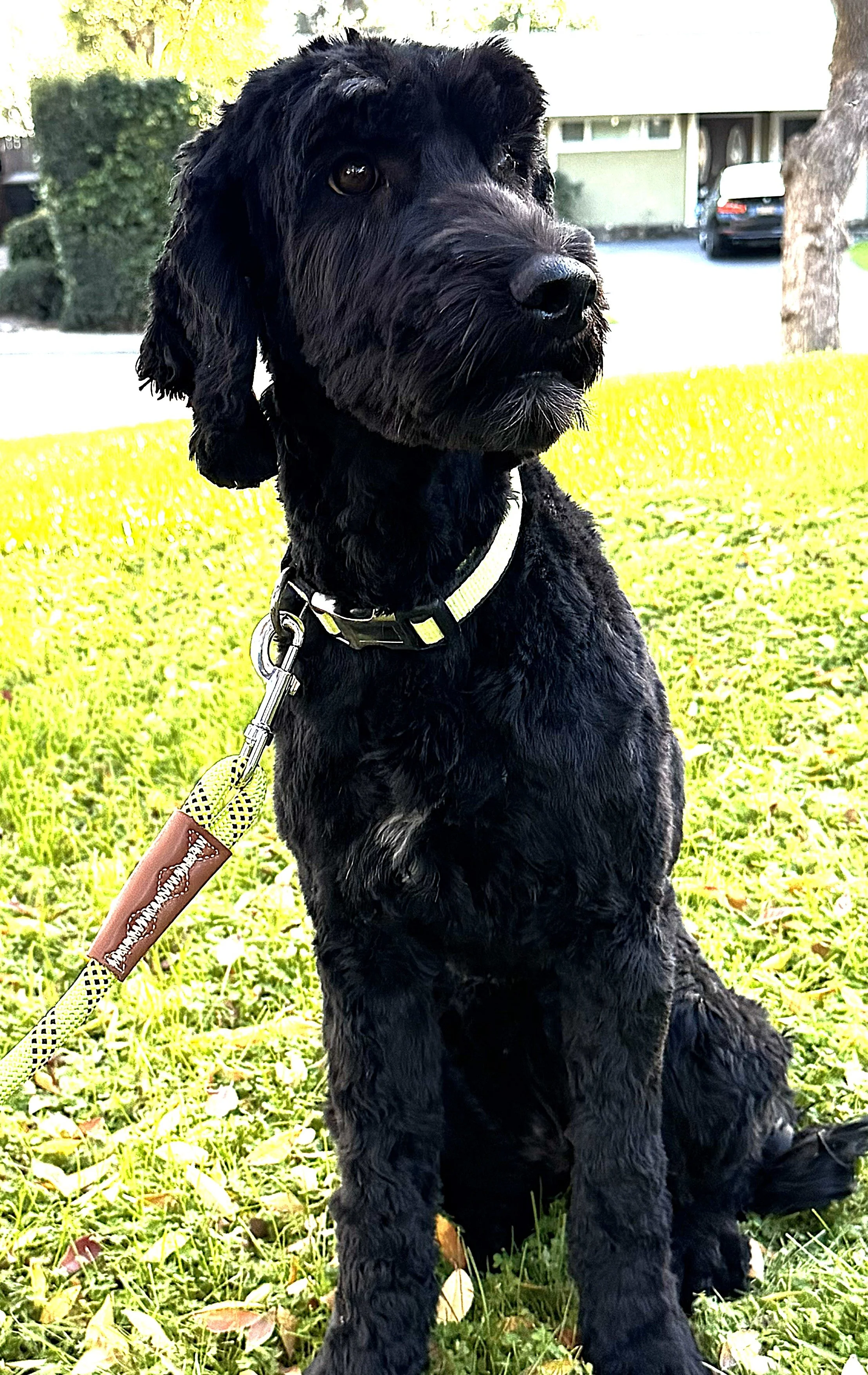 IMG_0766  lLilo sit 5A.jpg