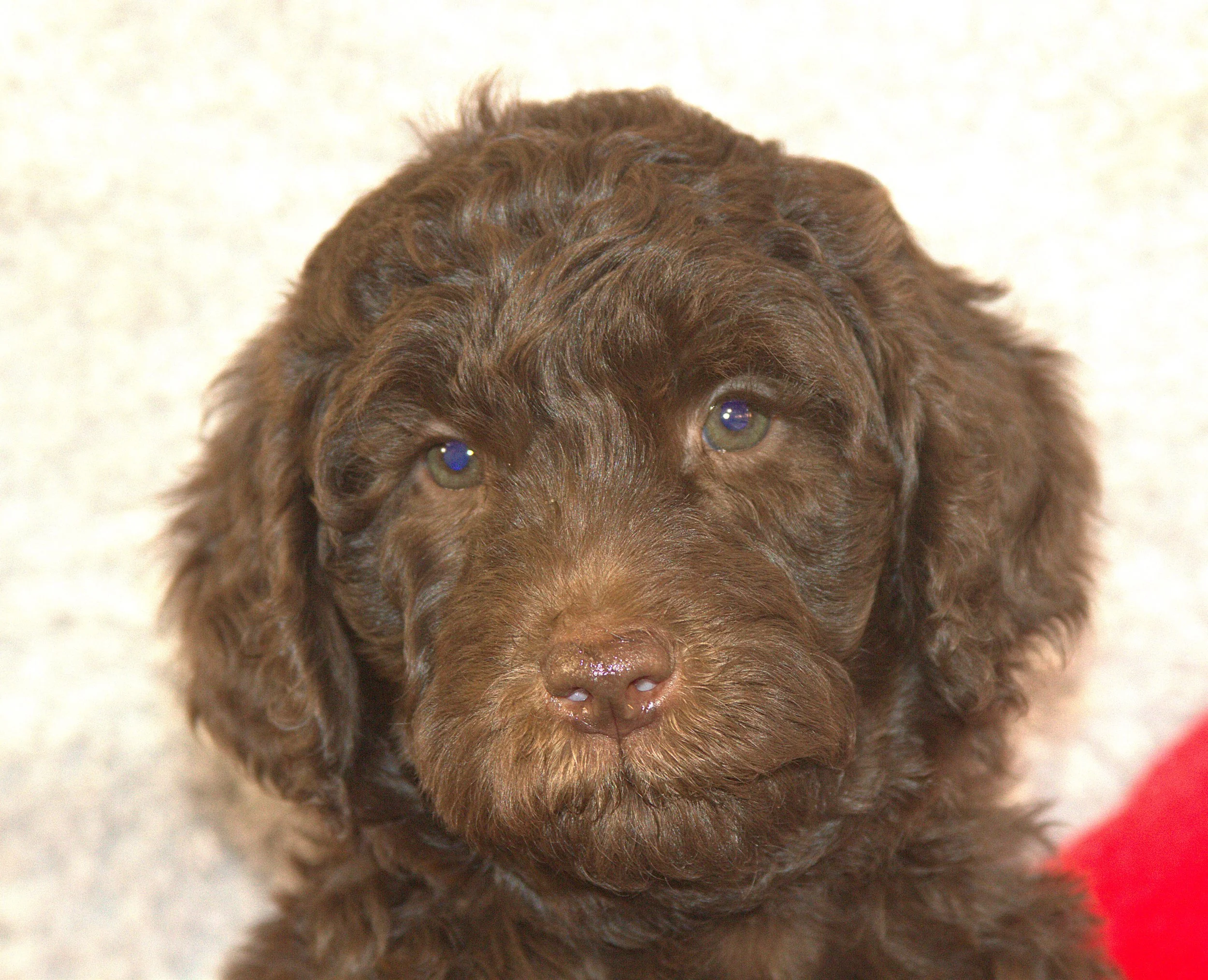 IMG_9674 Harty HS 2.jpg