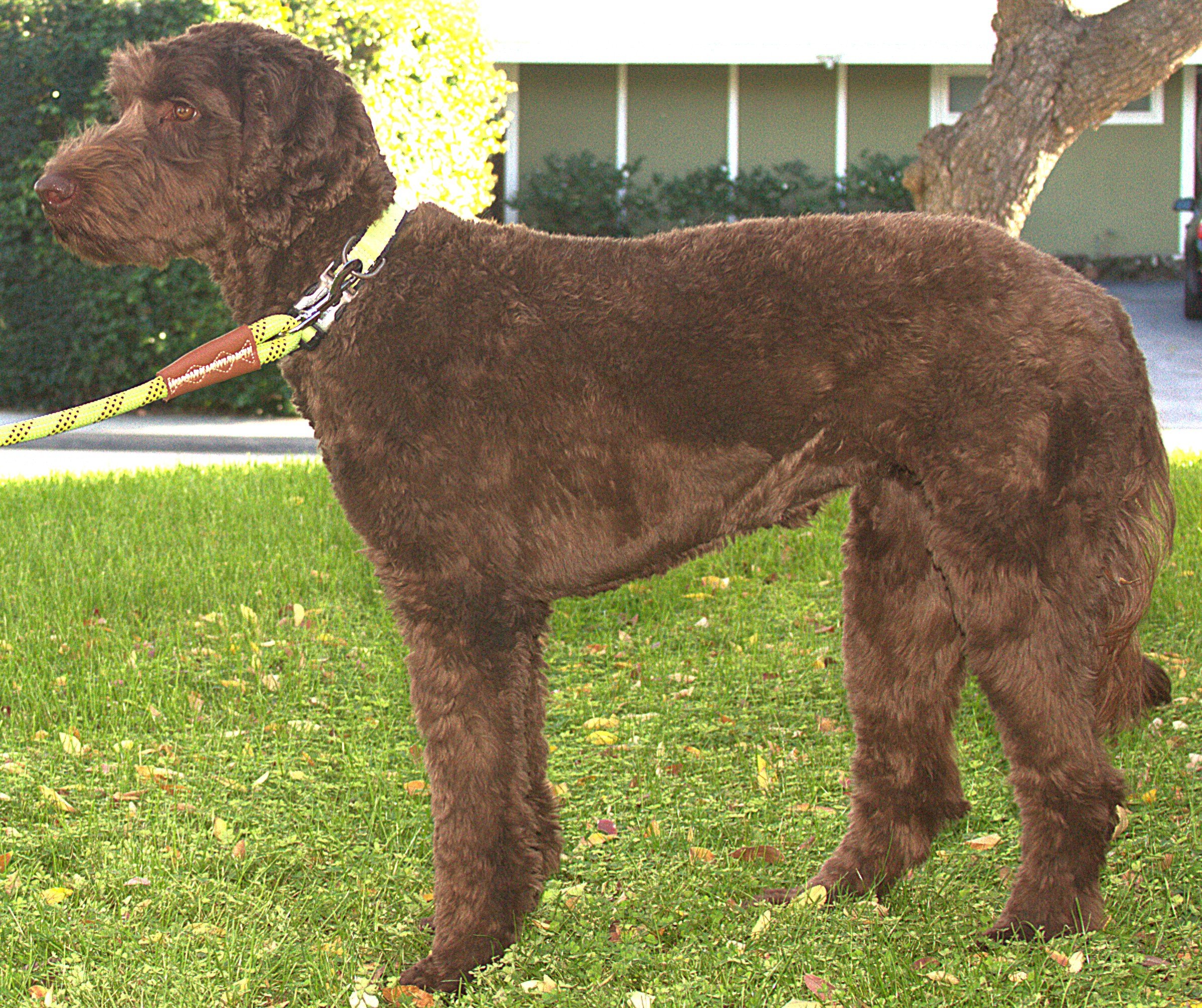 IMG_9898 Mickey stand 1A - Copy.jpg