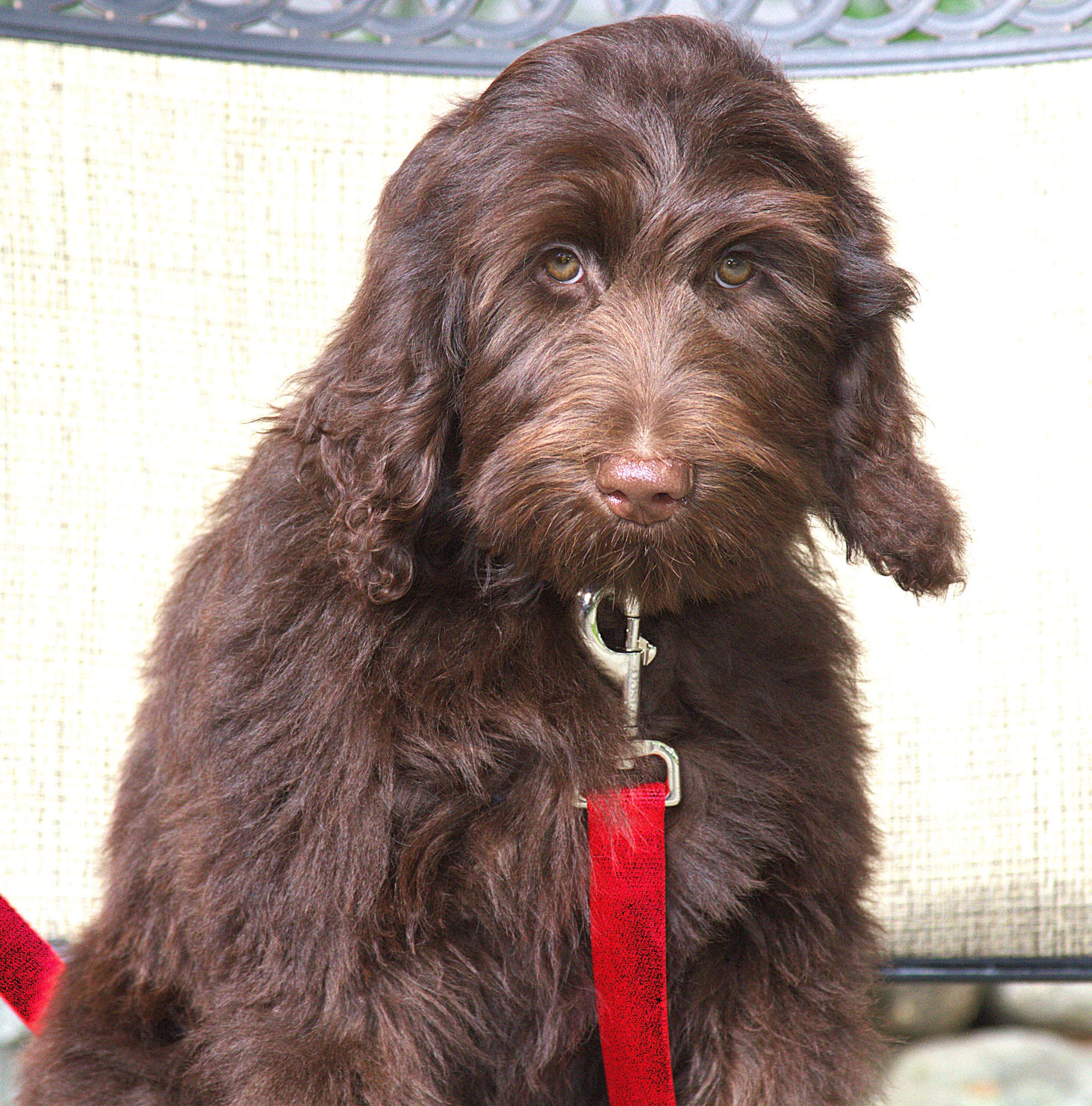 IMG_0146 Arrow sit 1.jpg