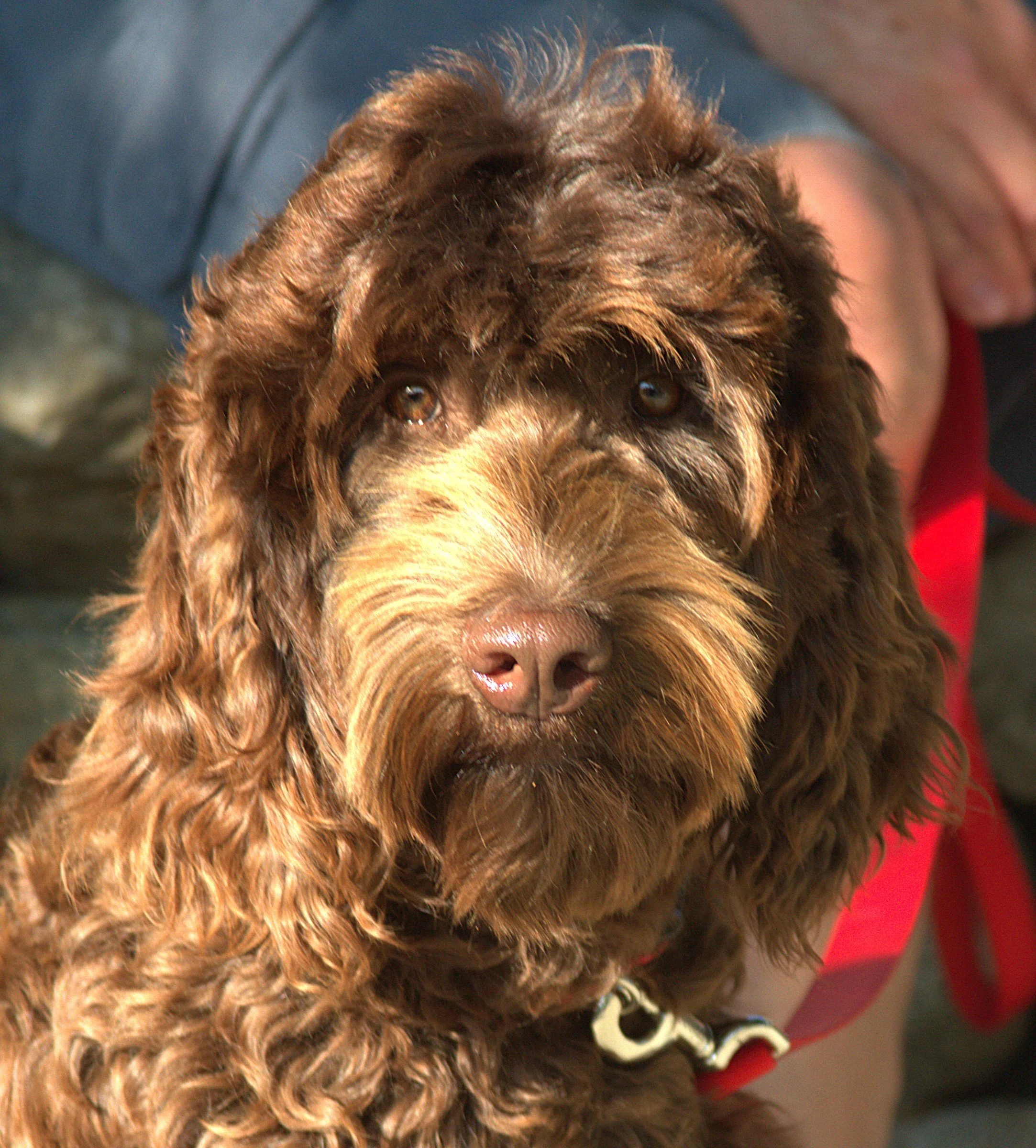 IMG_9114 Nyla HS.jpg