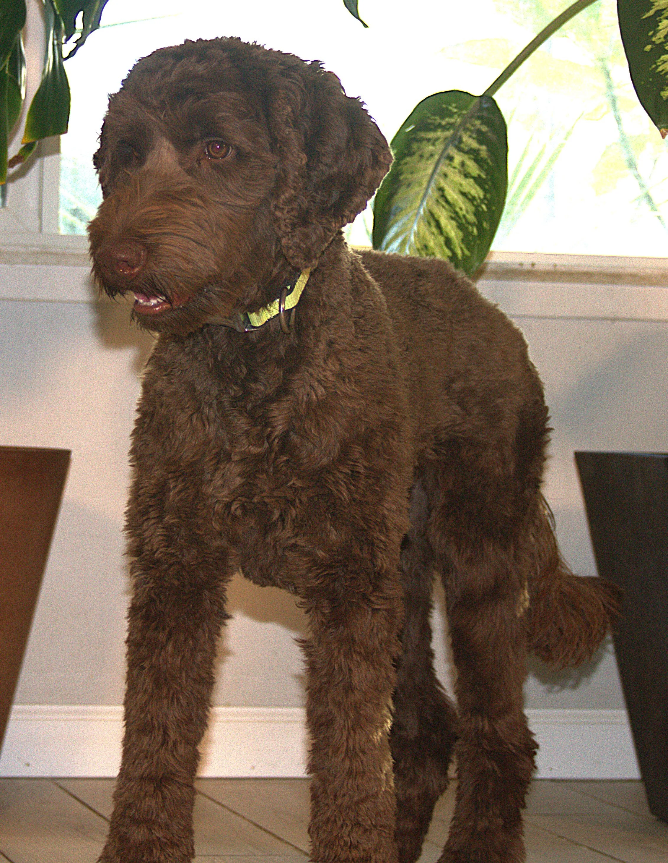 IMG_9923 Mickey stand 6A.jpg