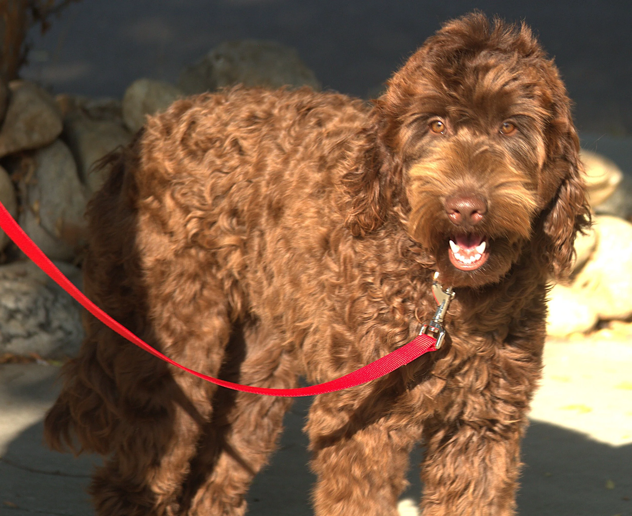 IMG_9125  Nyla stand2.jpg