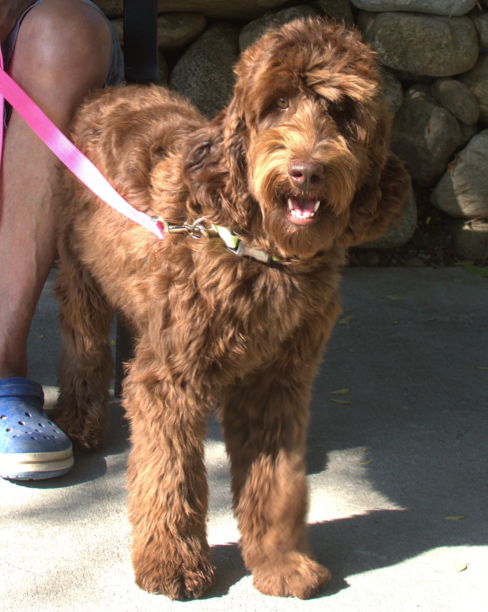 IMG_9043 Athena stand 1.jpg