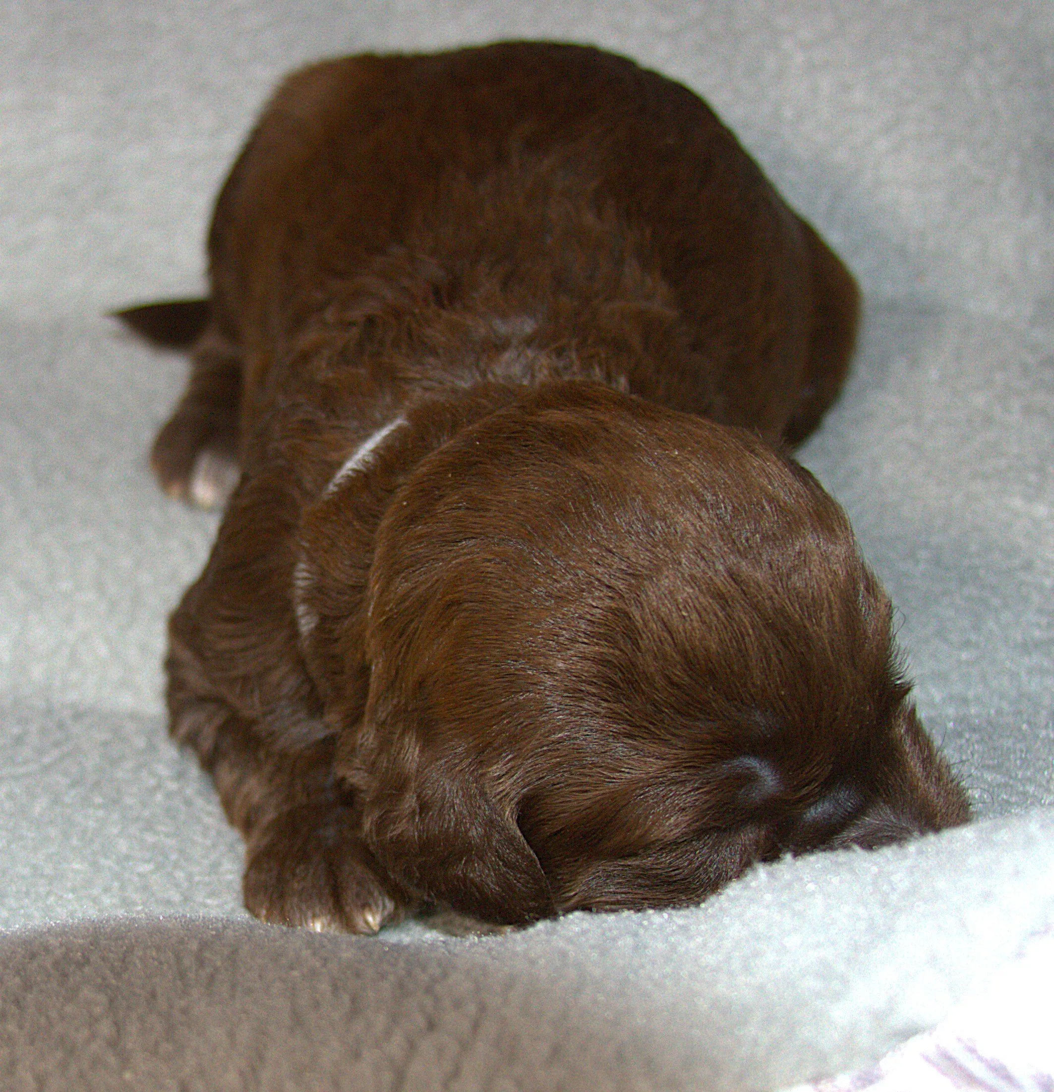 IMG_9214 C 581 Kana.jpg