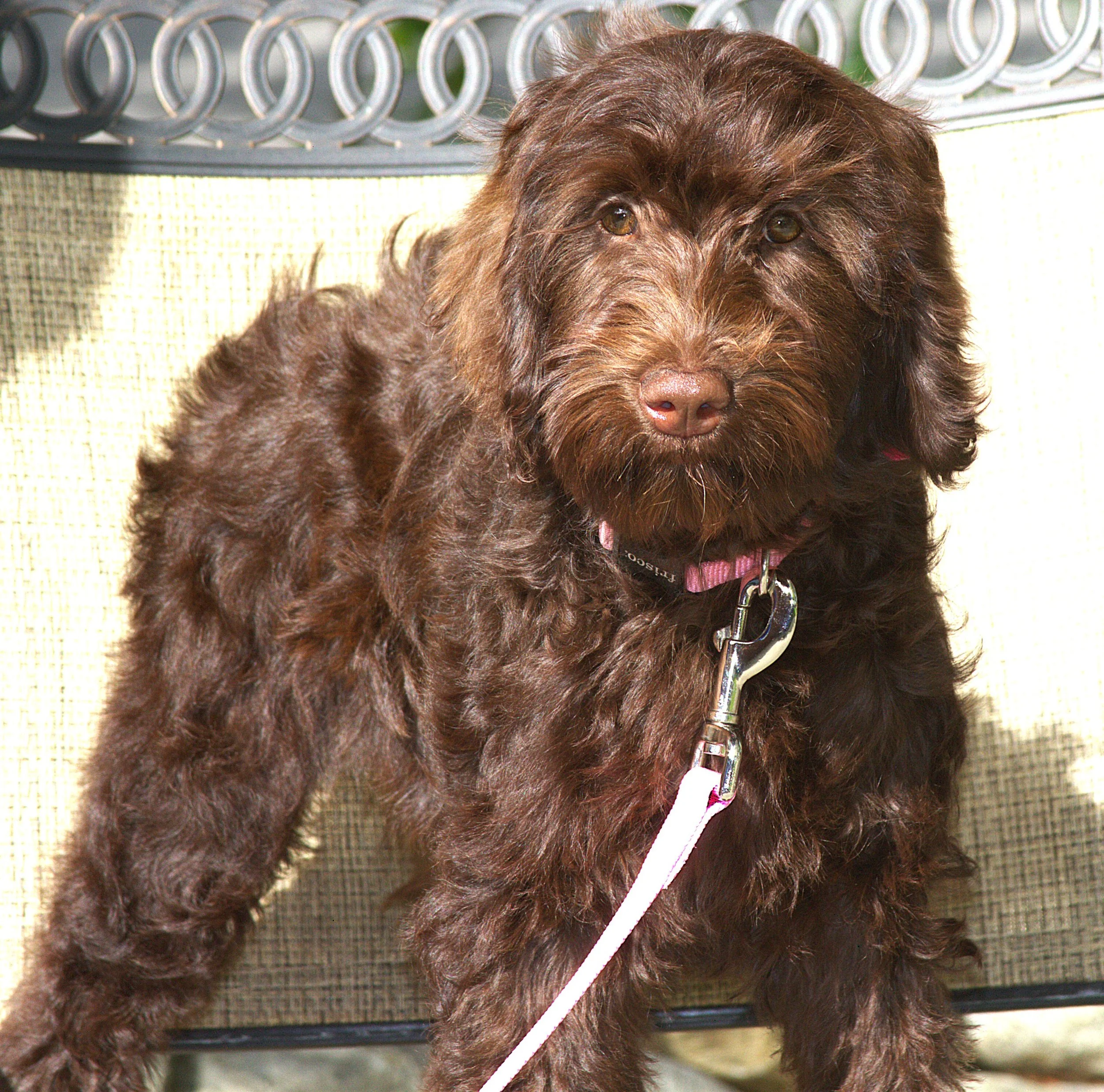 IMG_0203 Zooey stand 3.jpg