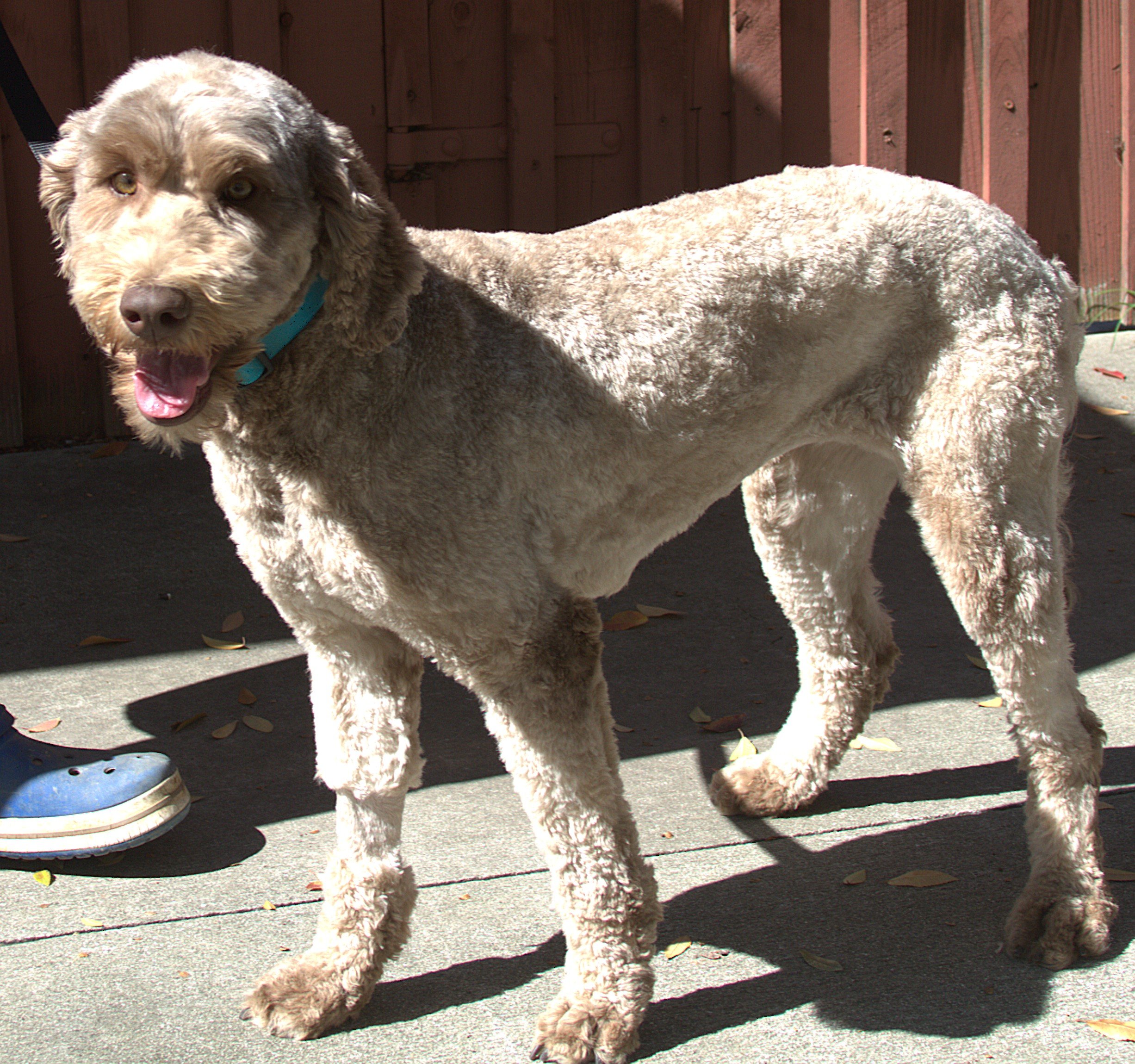 IMG_9947 Houston  Stand 5.jpg