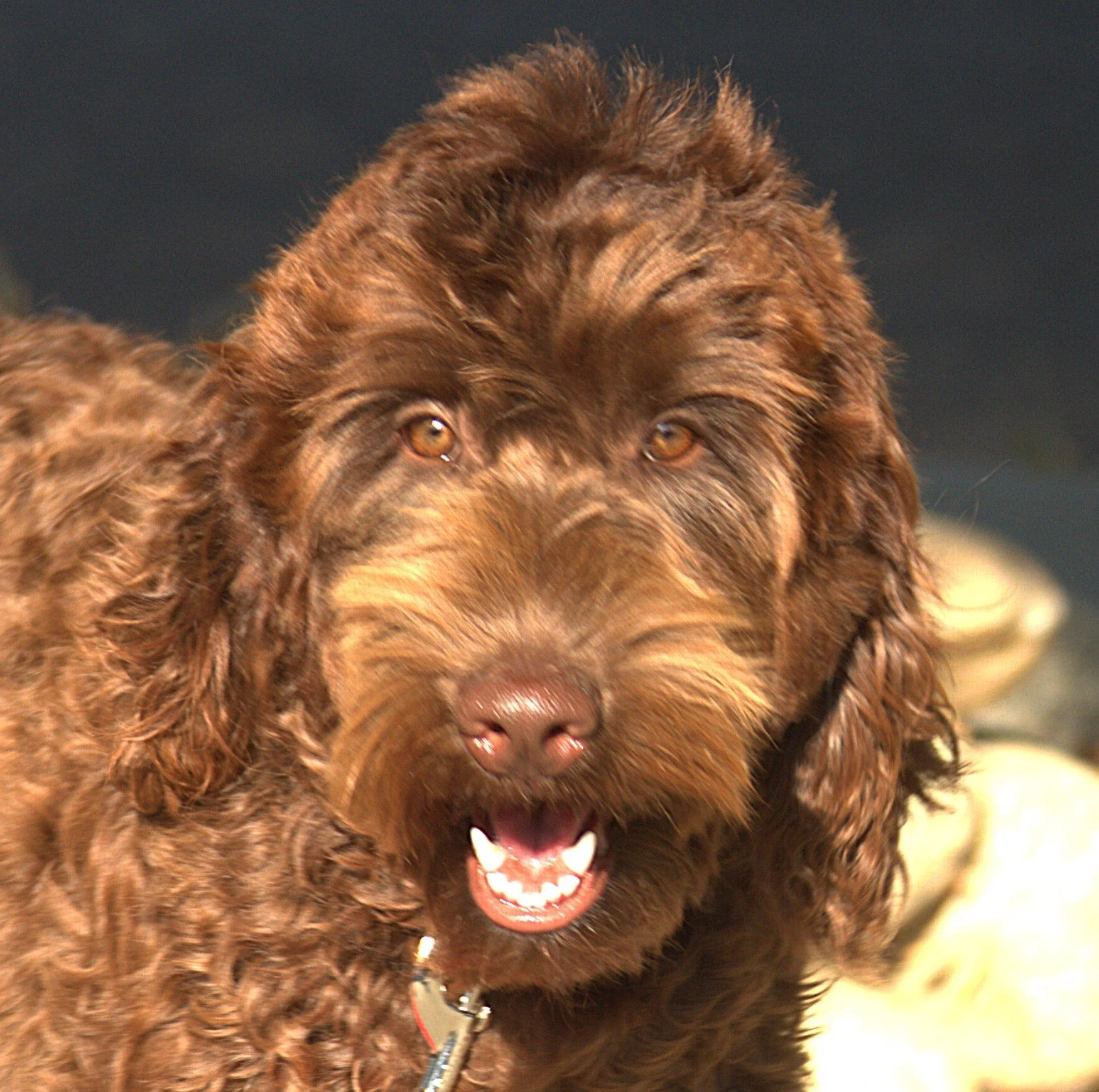 IMG_9125  Nyla HS2.jpg