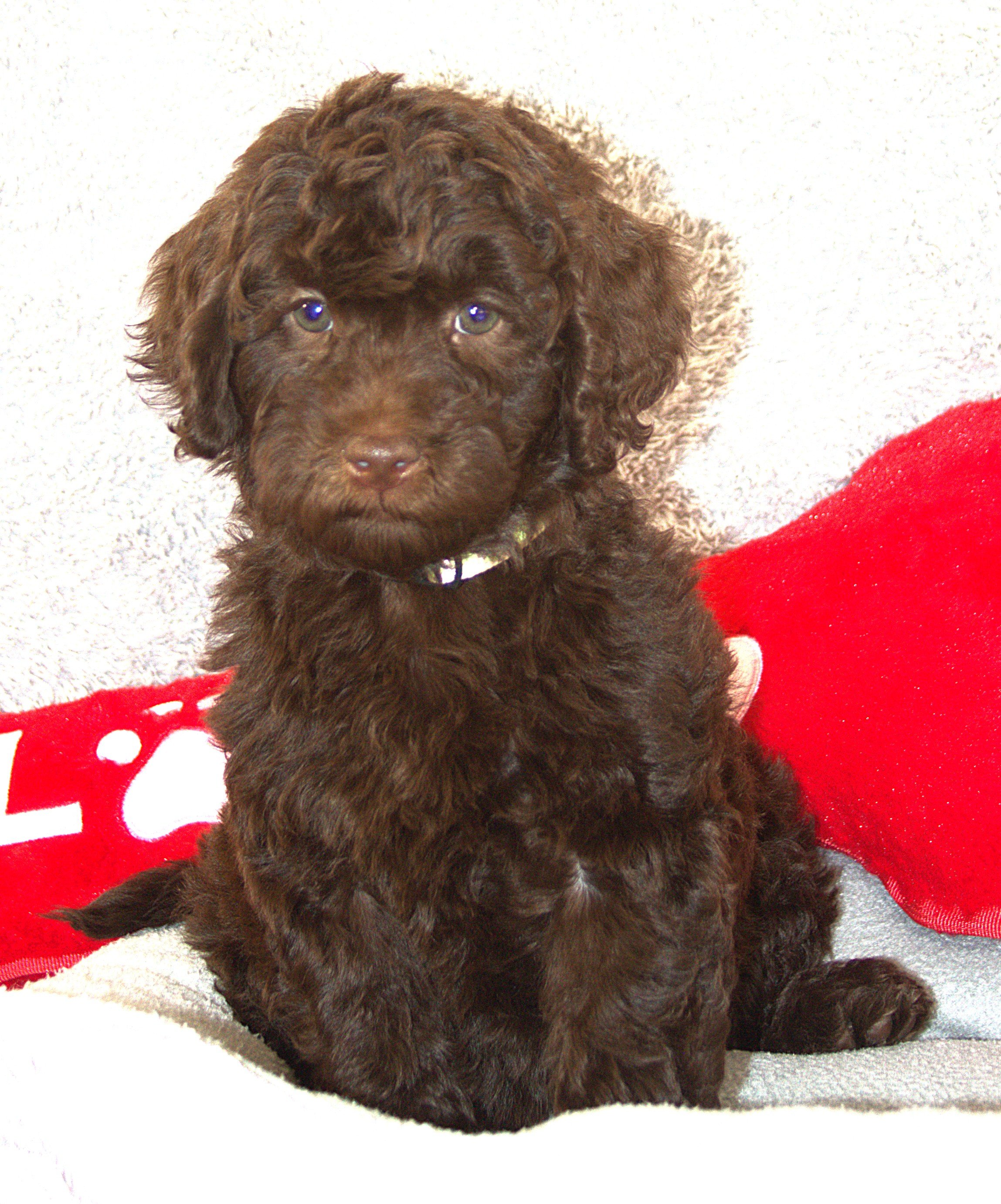 IMG_9761T Gal Gadot sit 2.jpg