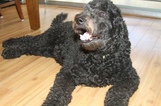bella4.jpg