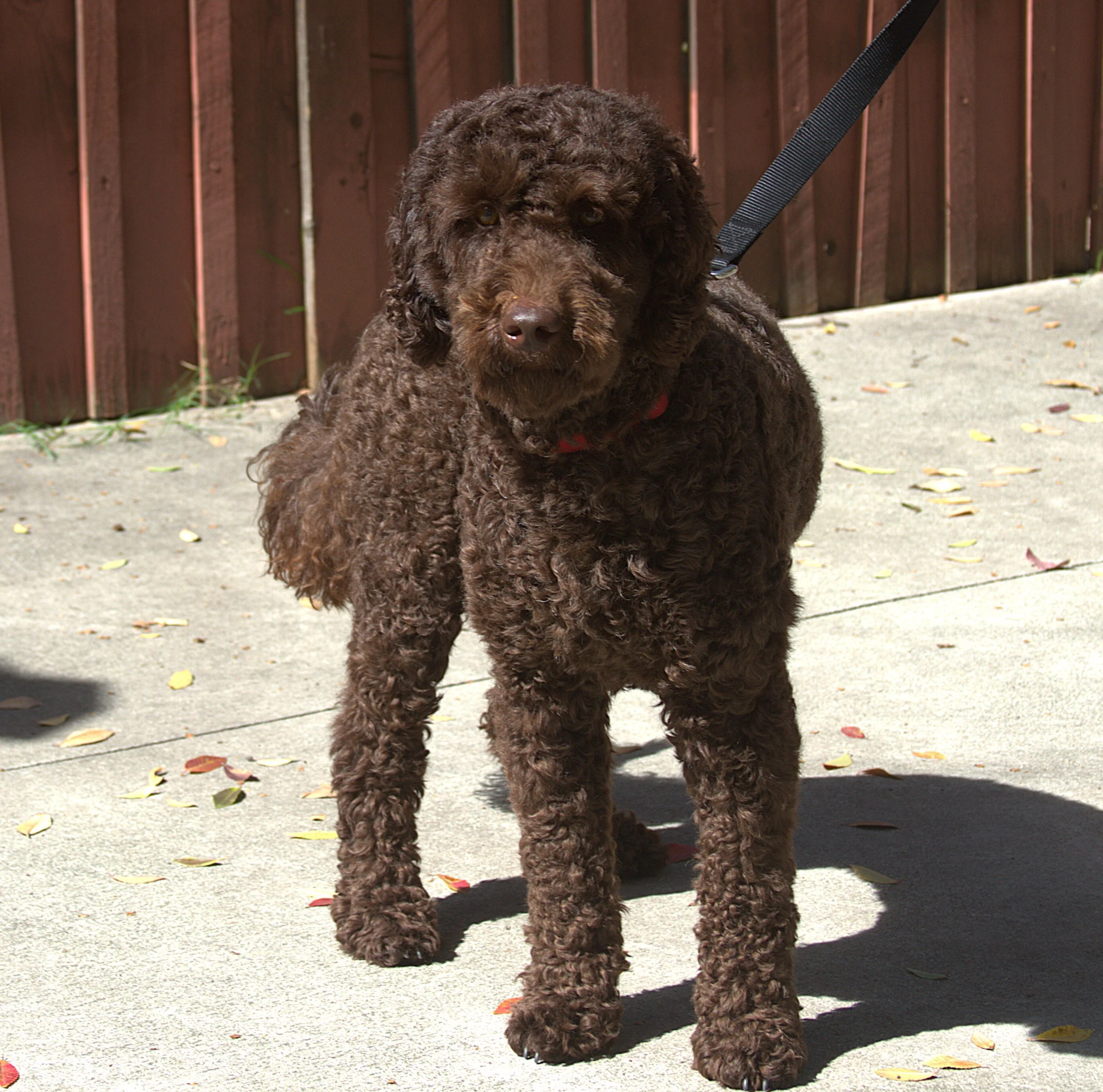 IMG_0024 Faith  stand 6.jpg