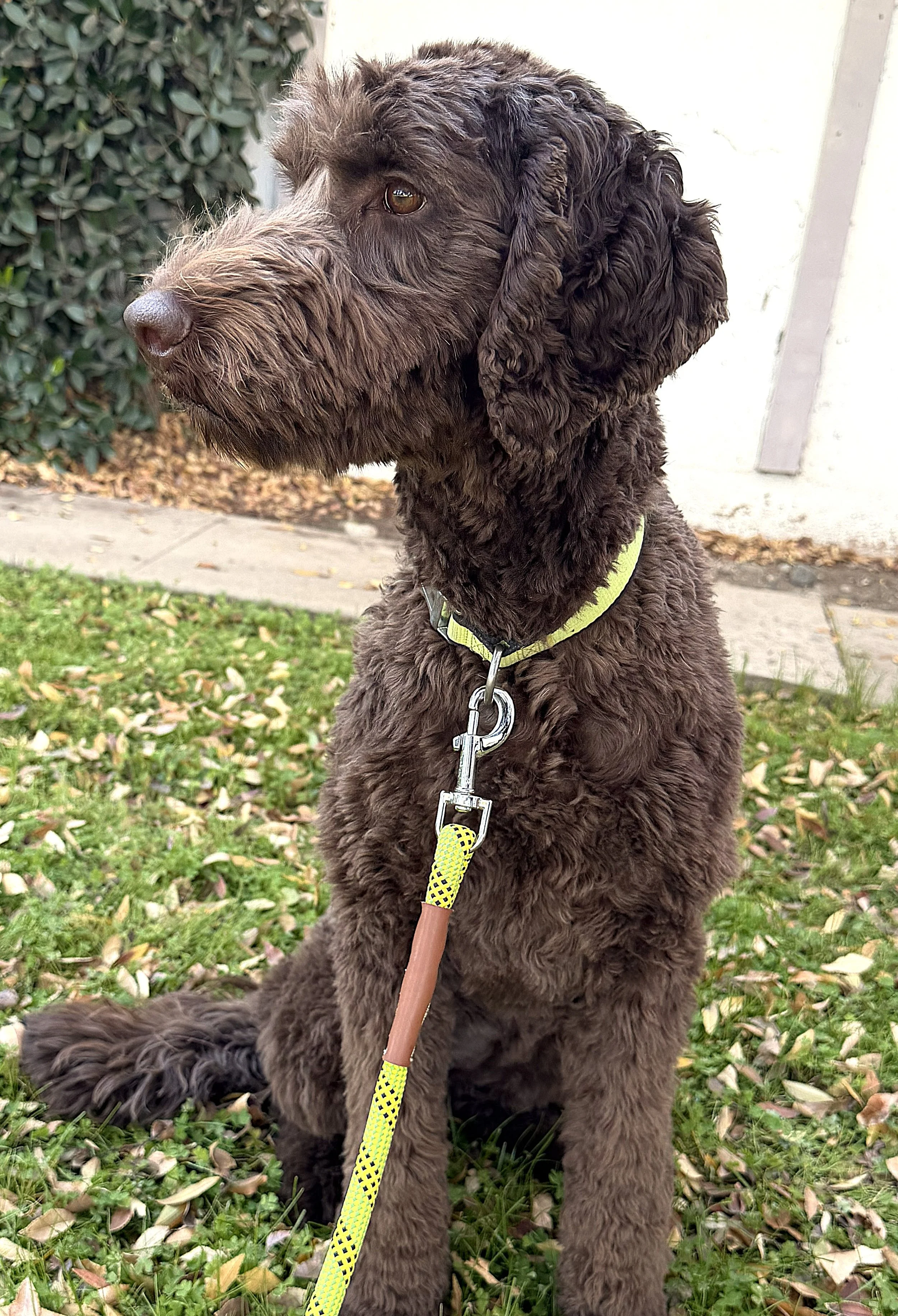 IMG_0702  Athena sit 2A.jpg