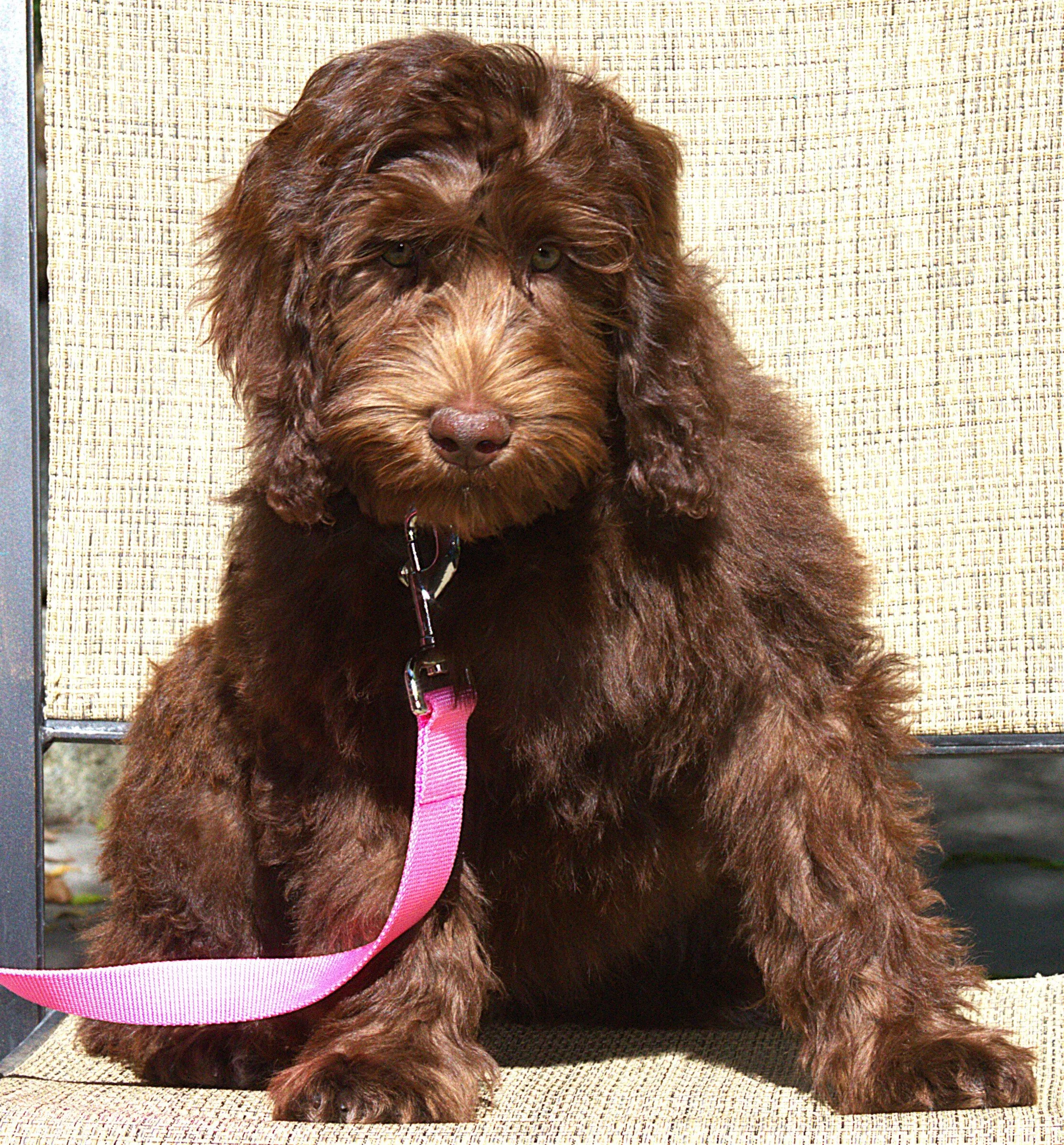 IMG_0092 -  Angelina sit 7.jpg