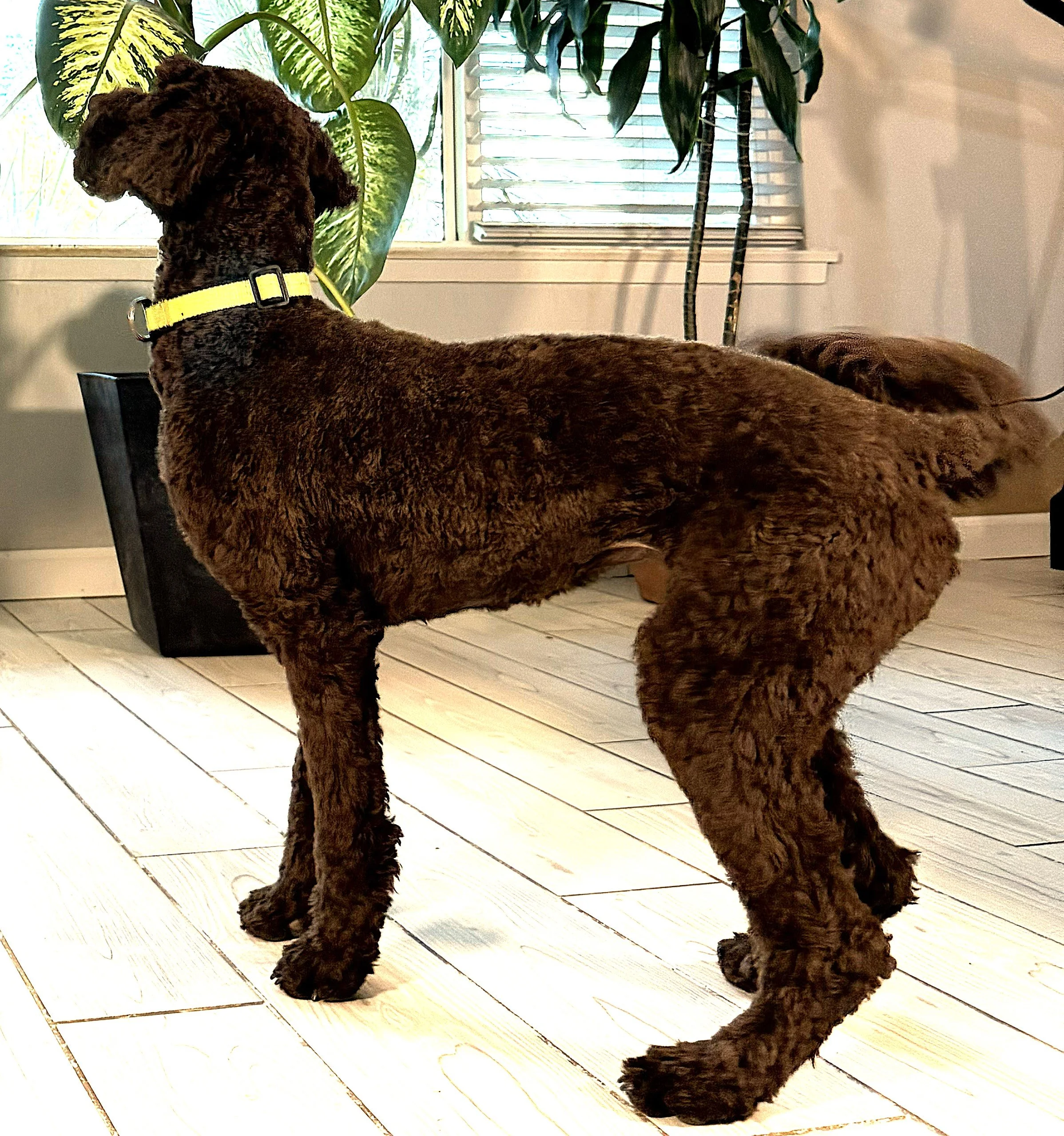 IMG_0810 Faith stand 7A.jpg