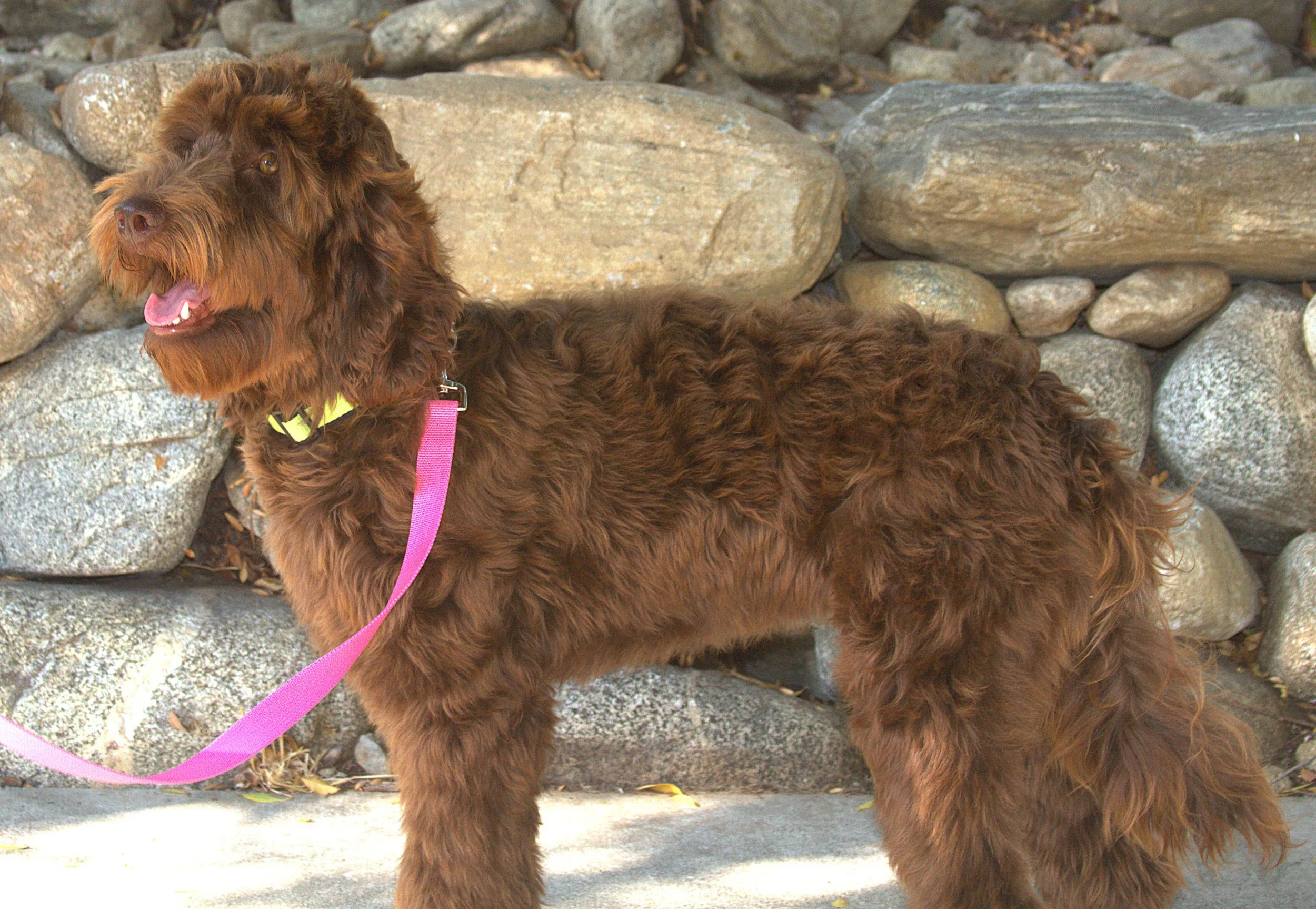 IMG_9048 Athena stand4.jpg