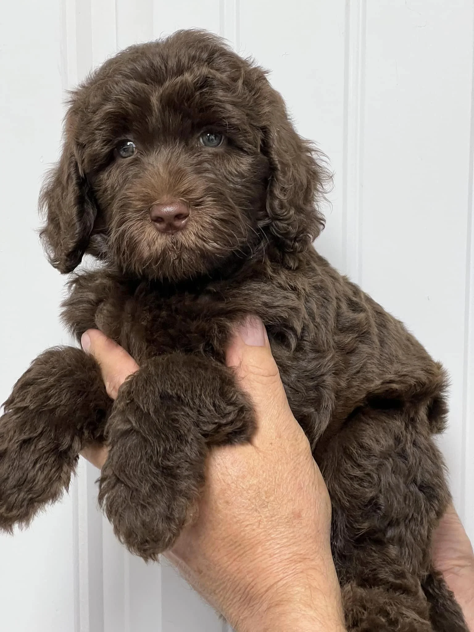 354076677_686670783268673_7479463273654519636_n - Copy.jpeg