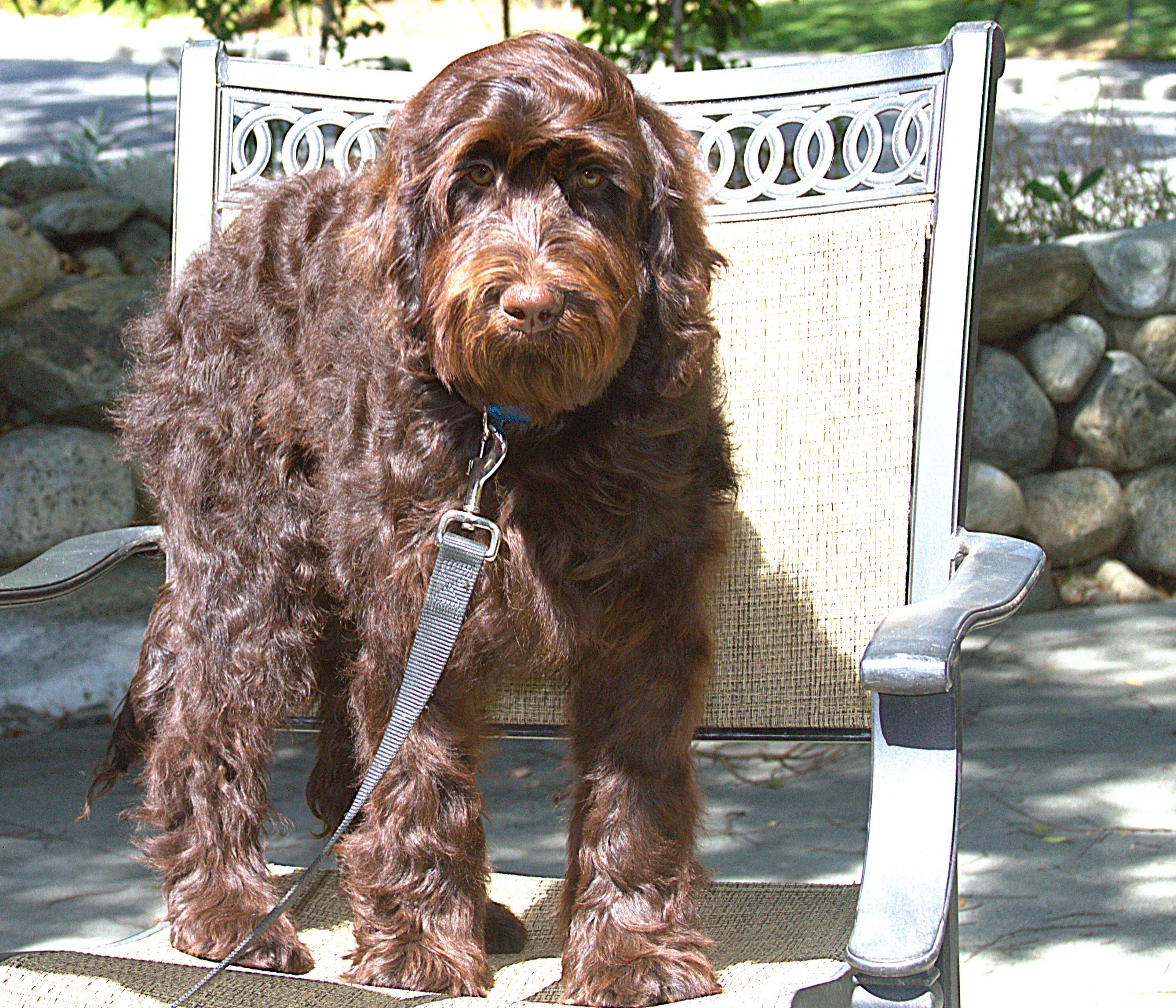 IMG_0308  Thor 2.jpg