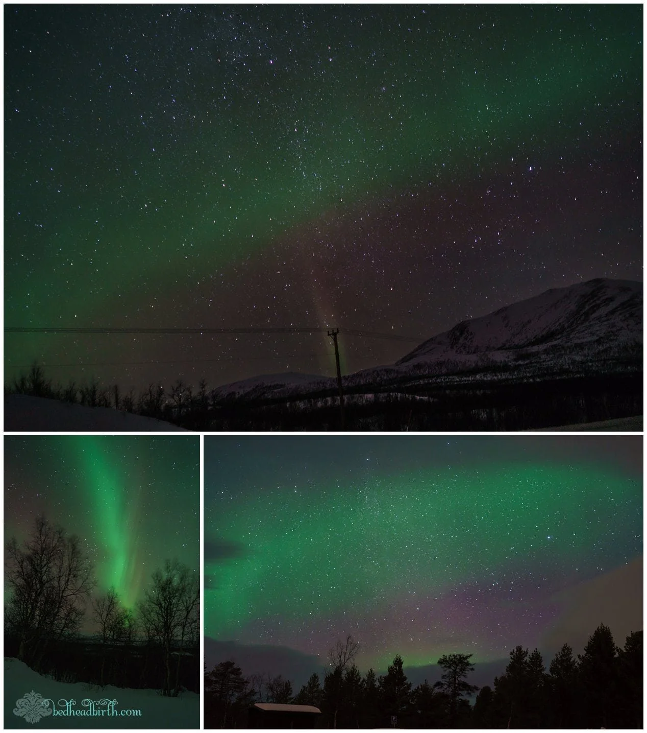 Aurora Photography and Birth Photography — Nikki Williams, CPM Central