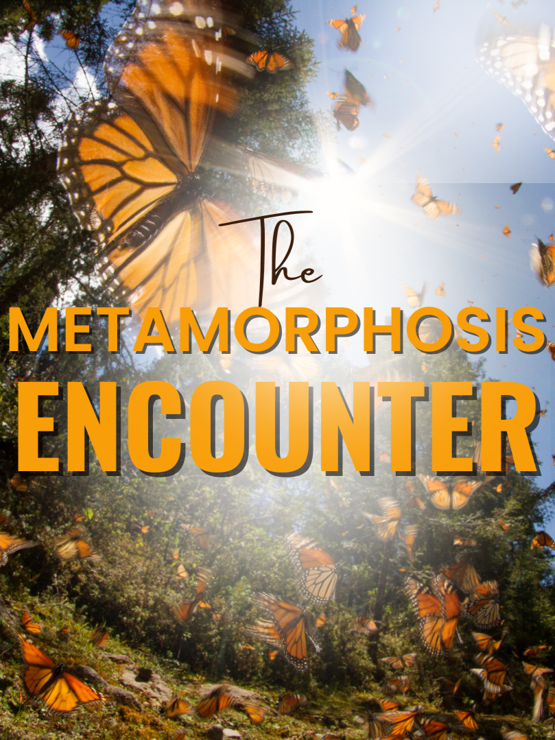 The+Metamorphosis+Encounter+Content.png