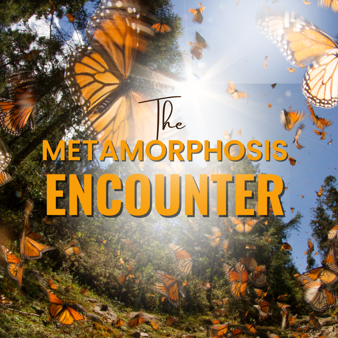 The Prophetic Encounter Night ONLY