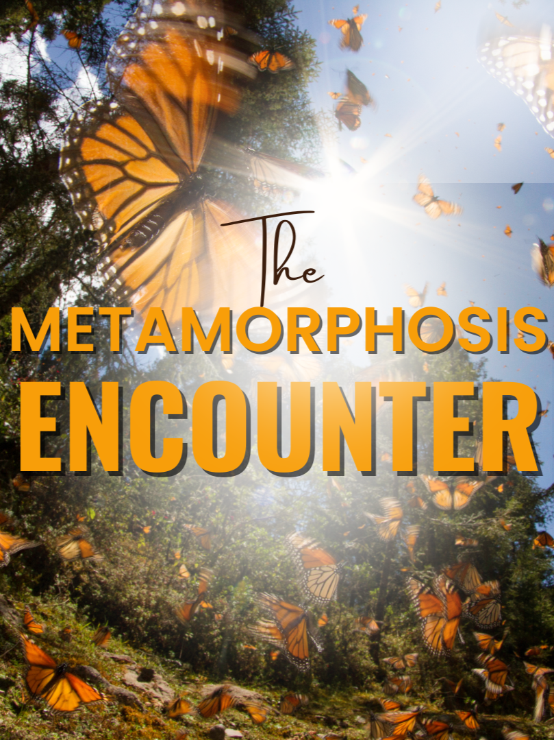 The+Metamorphosis+Encounter+Content.png