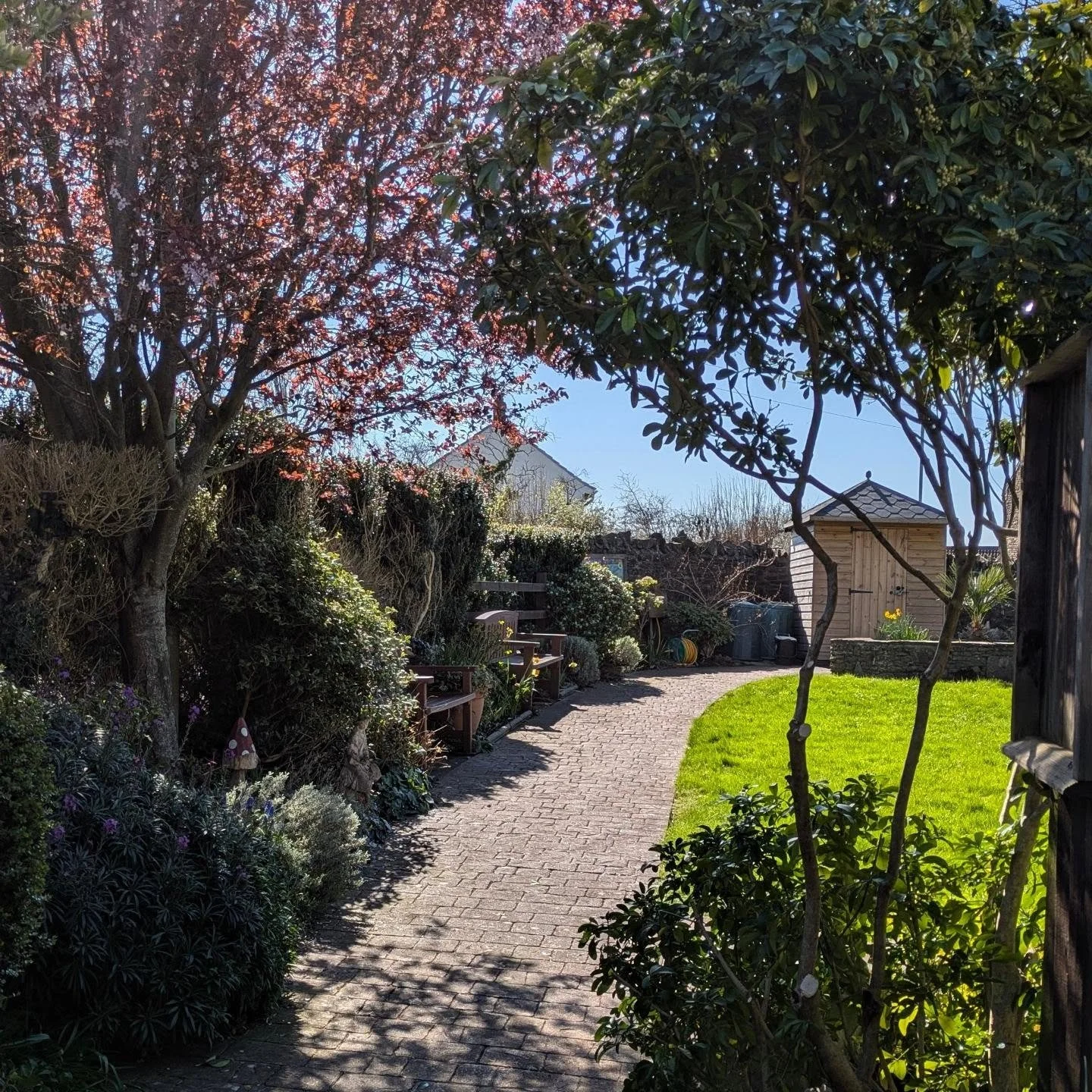 Manor hall - community garden. 🌼Gorgeous mature garden in coalpit heath. Thriving with wildlife. The garden today needed some shrub care as few shrubs had overgrown the paths.

 I created a sight line from the entrance into the garden by raising the