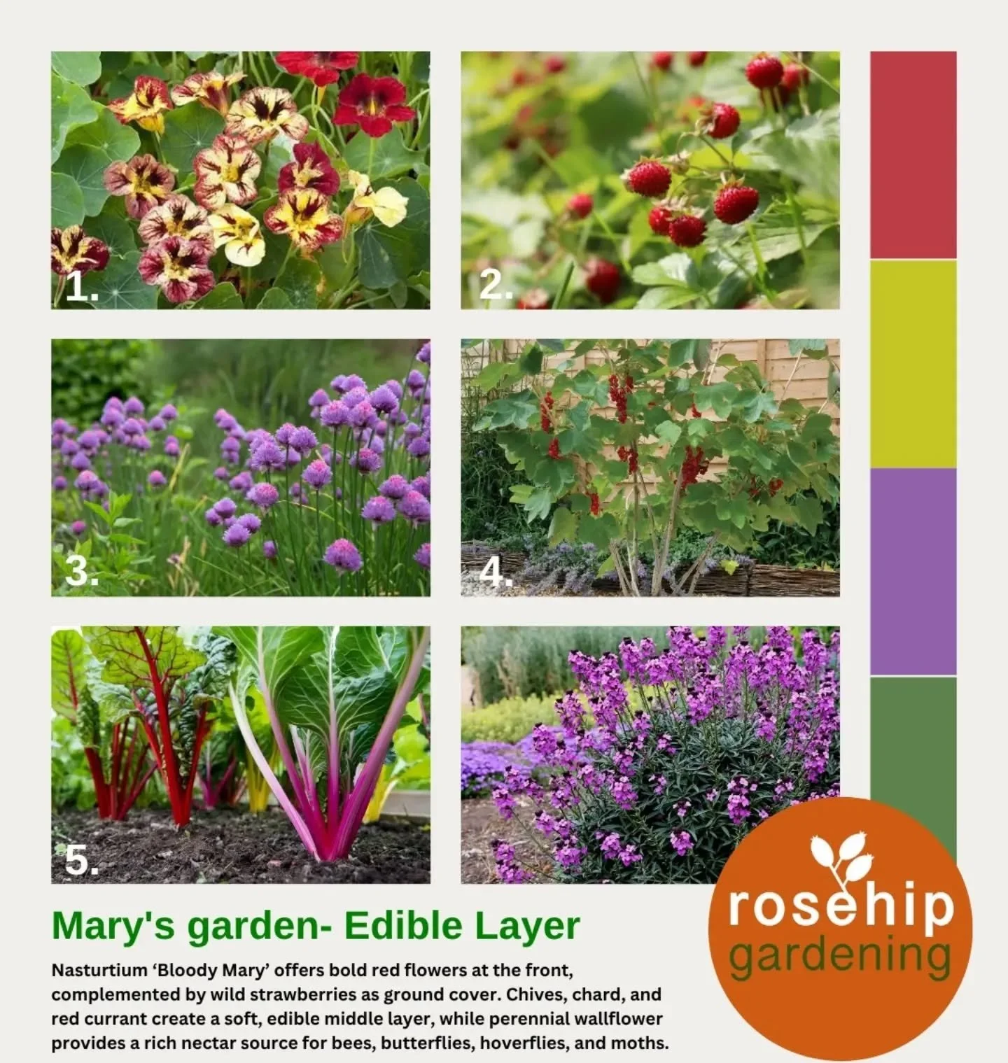 PLANTING PALLET - Small wildlife garden 

 I've been Creating a small wildlife garden for Mary. 
This space is split into two zones &mdash; an edible, floral fun side full of pollinator-friendly herbs and flowers, and a soft transition from pond edge