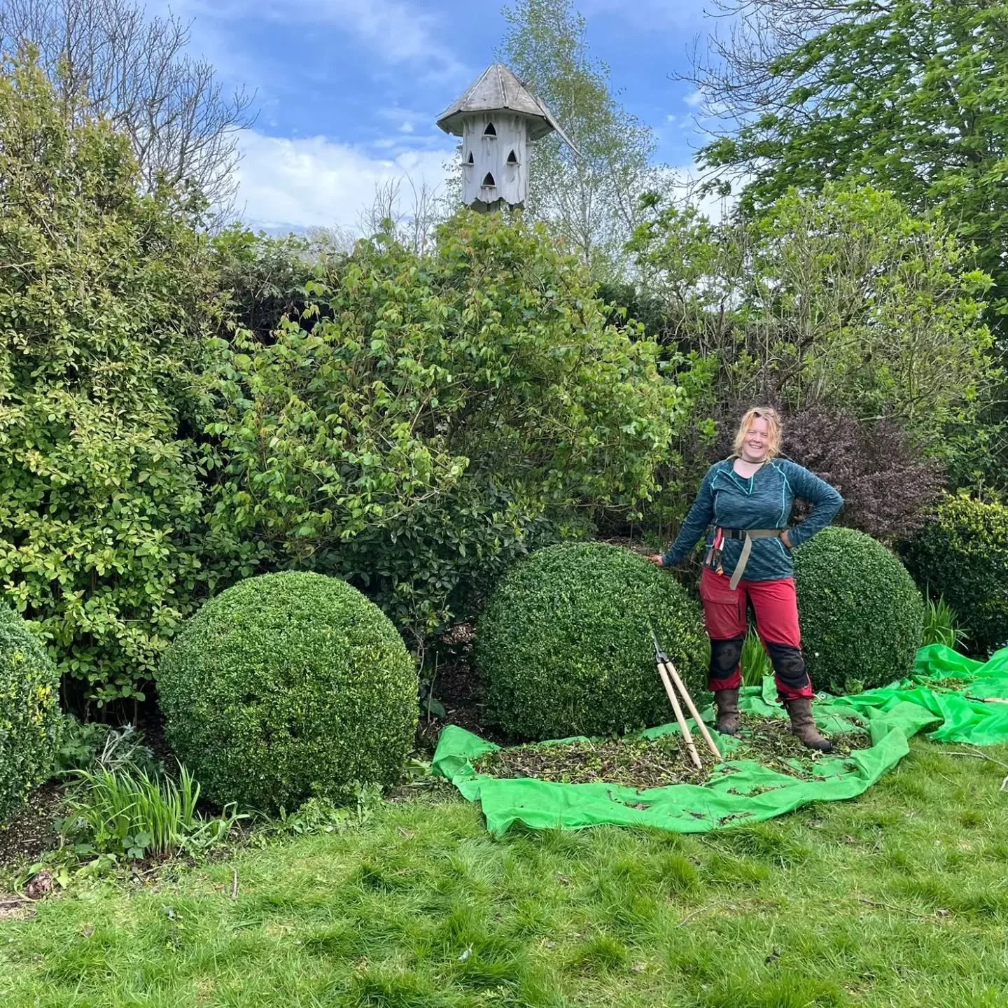 Great balls of fire 🔥 (well&hellip; green ones anyway). Working with lovely @lilysows today. 

#Topiary #GardenLife #Gardening #GreenThumb #GardenDesign Satisfying