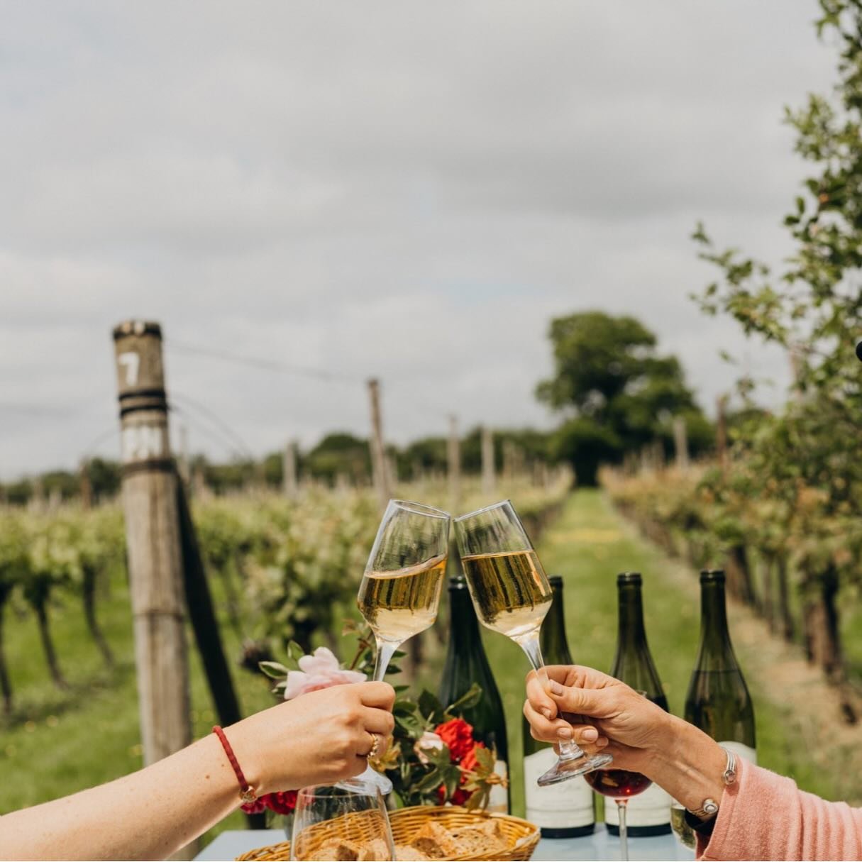 English Wine Week now draws to a close, but at The Village, we celebrate our local grape all year round. We have put together our favourite local vineyards, wine news and events happening at the moment in our most recent newsletter. (Follow the link 