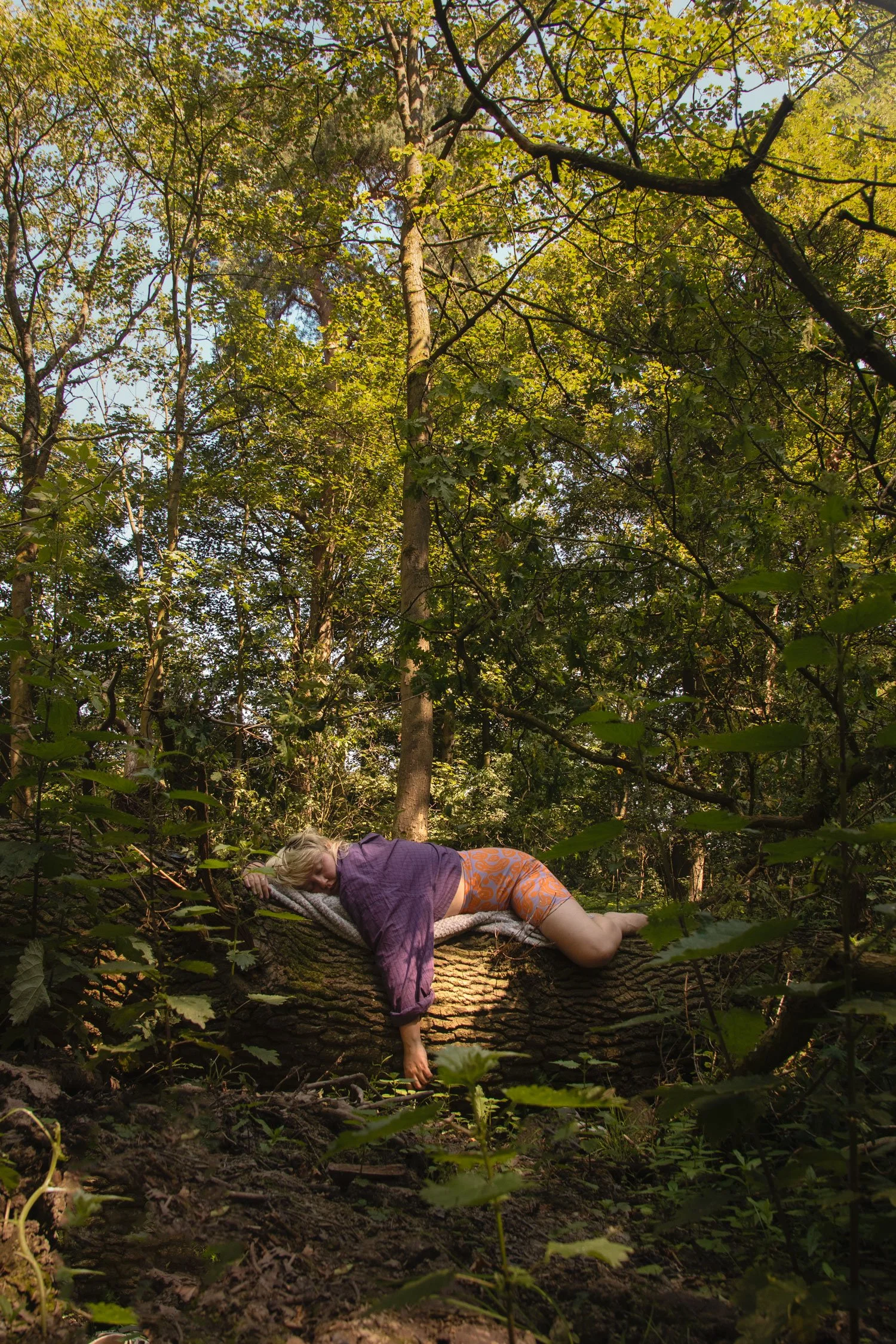 Learning to Rest in the Woods