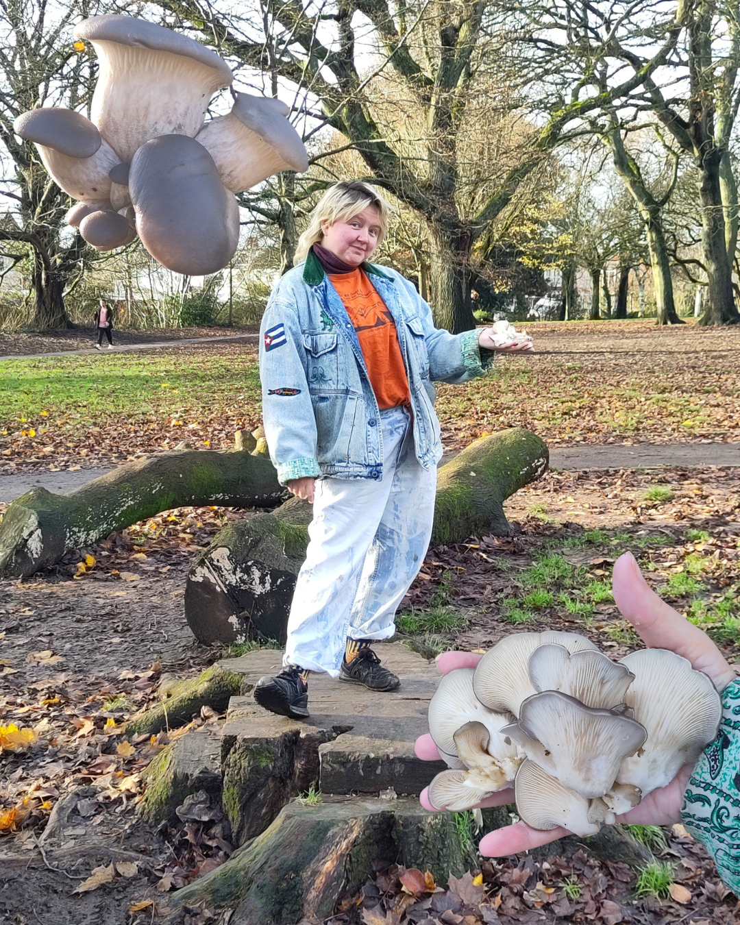 Oyster Mushroom Saga Part 5: New Friends Join