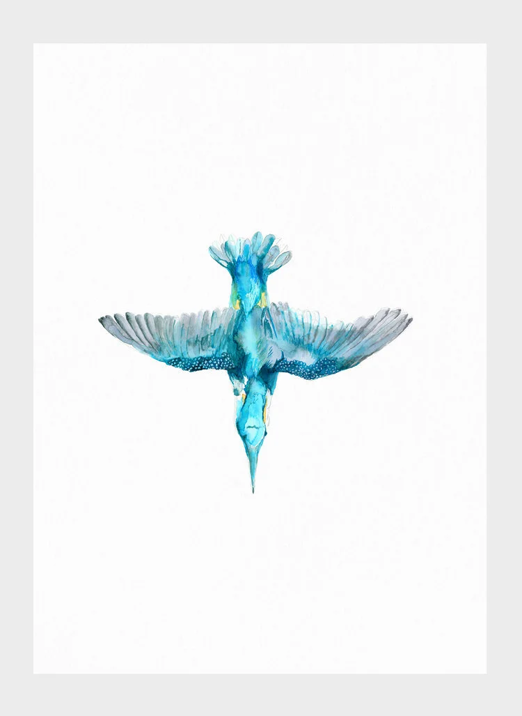 Kingfisher-LouiseFrancis.jpg